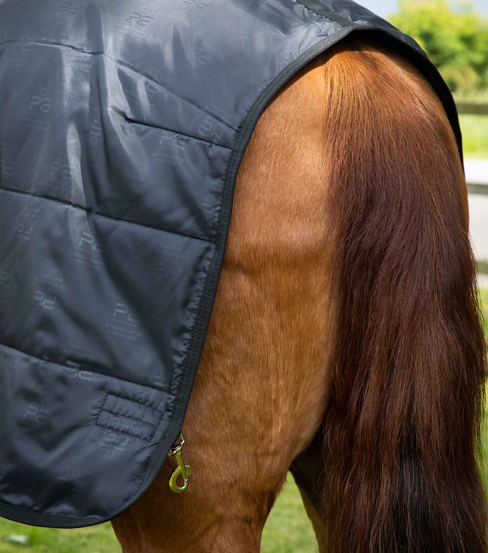 100g Horse Rug Liner - Image 5
