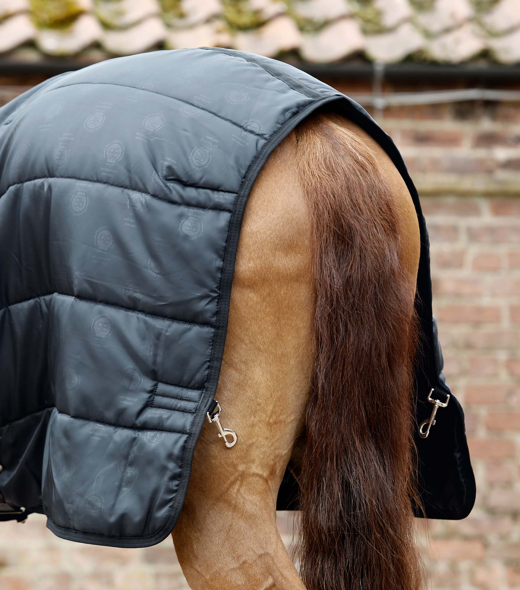 350g Combo Horse Rug Liner - Image 6