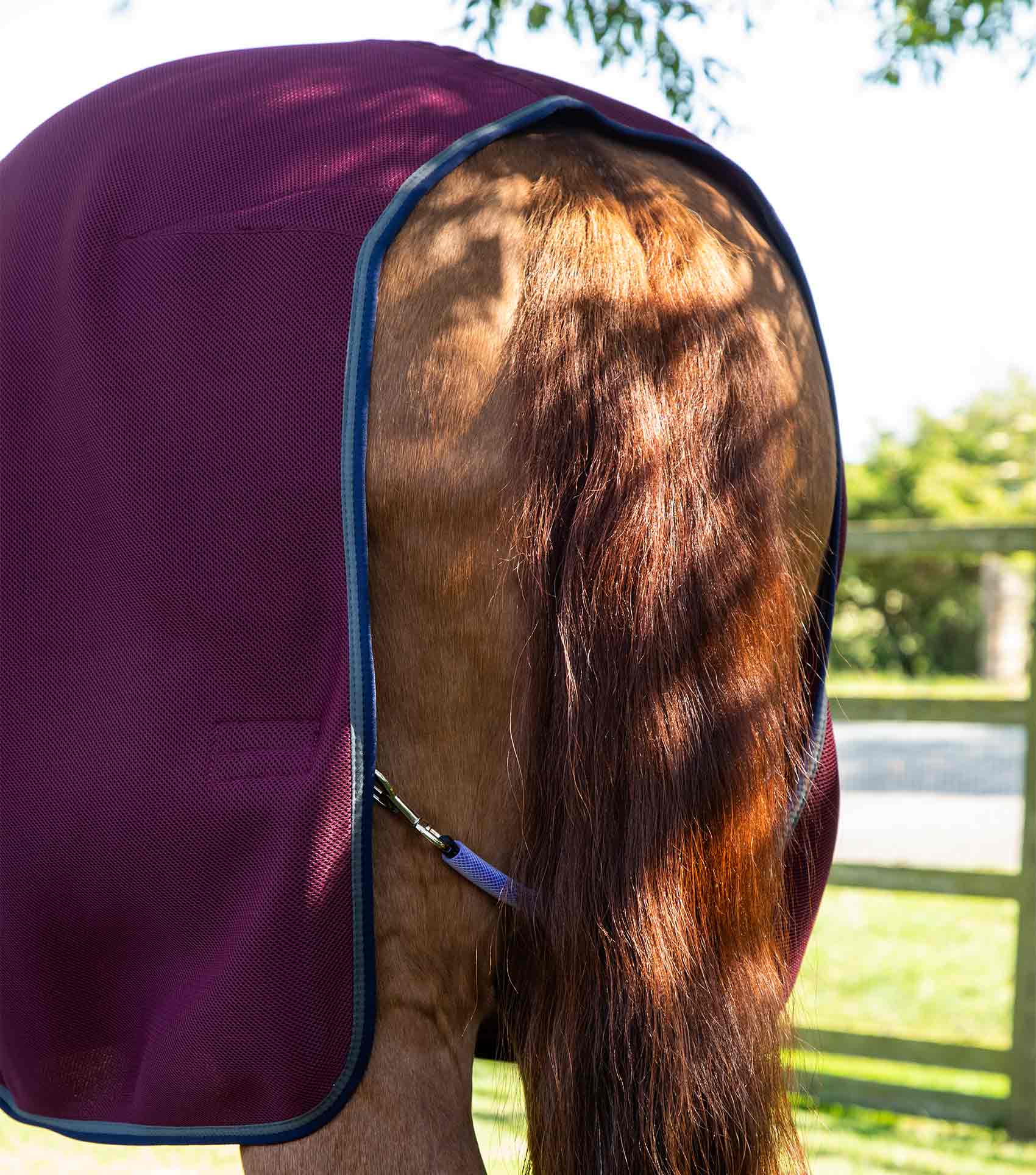 END OF LINE SALE - Airflow Cooler Rug Burgundy - Image 5