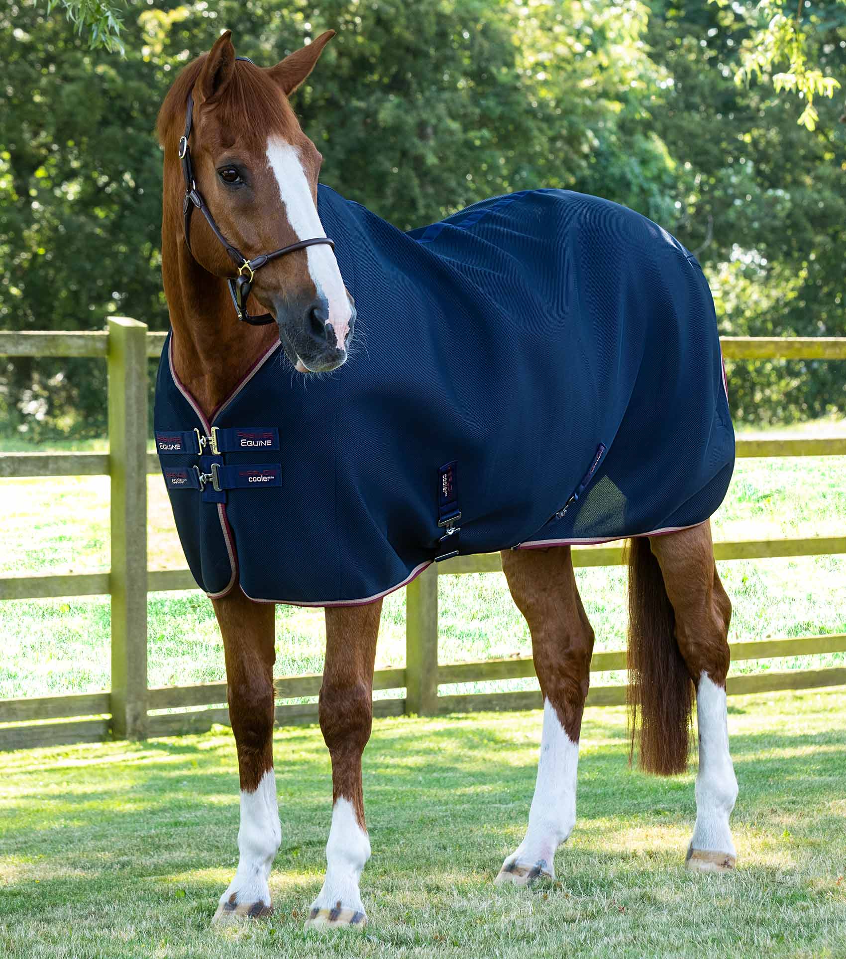 END OF LINE SALE - Airflow Cooler Rug Navy