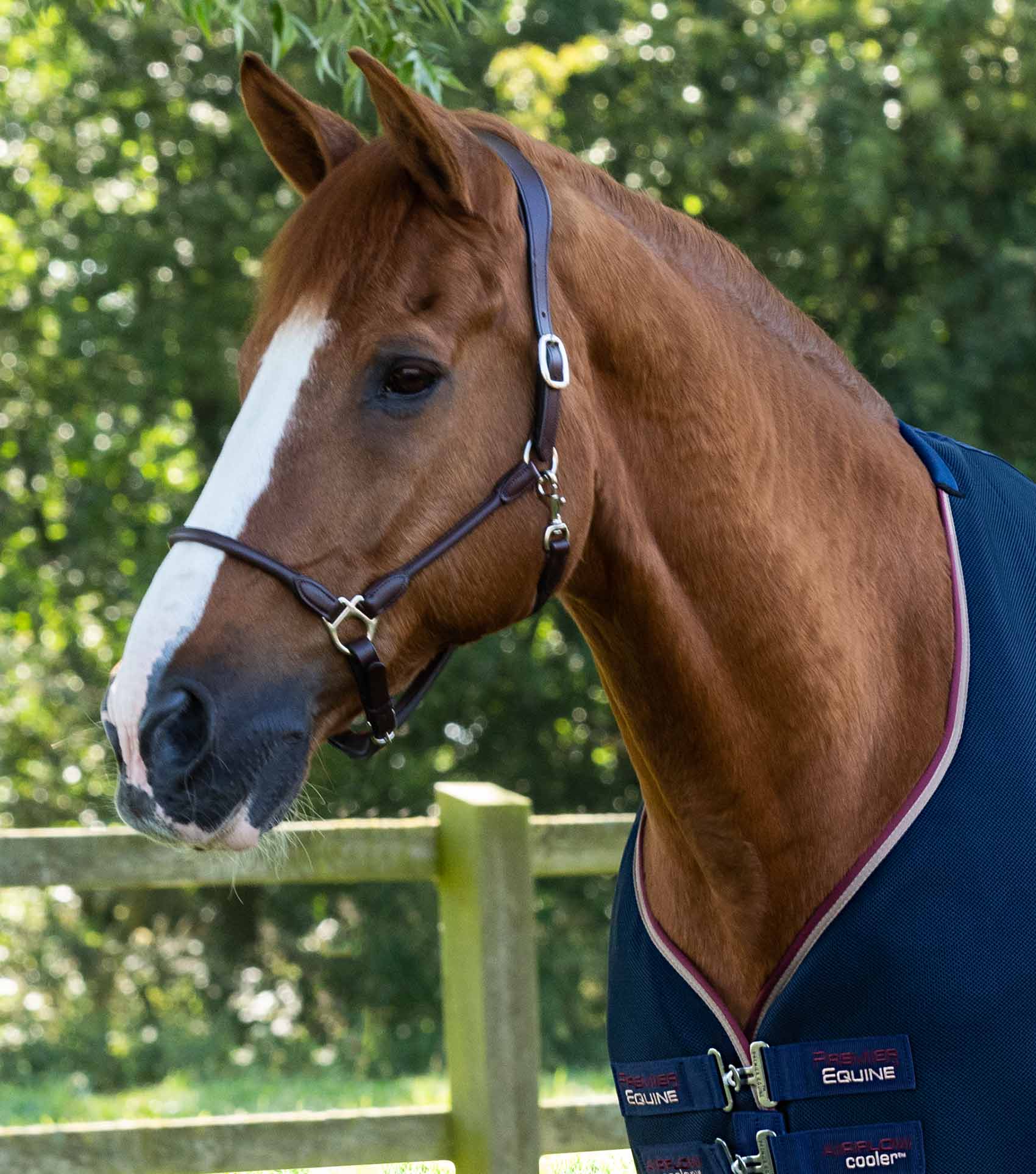END OF LINE SALE - Airflow Cooler Rug Navy - Image 2
