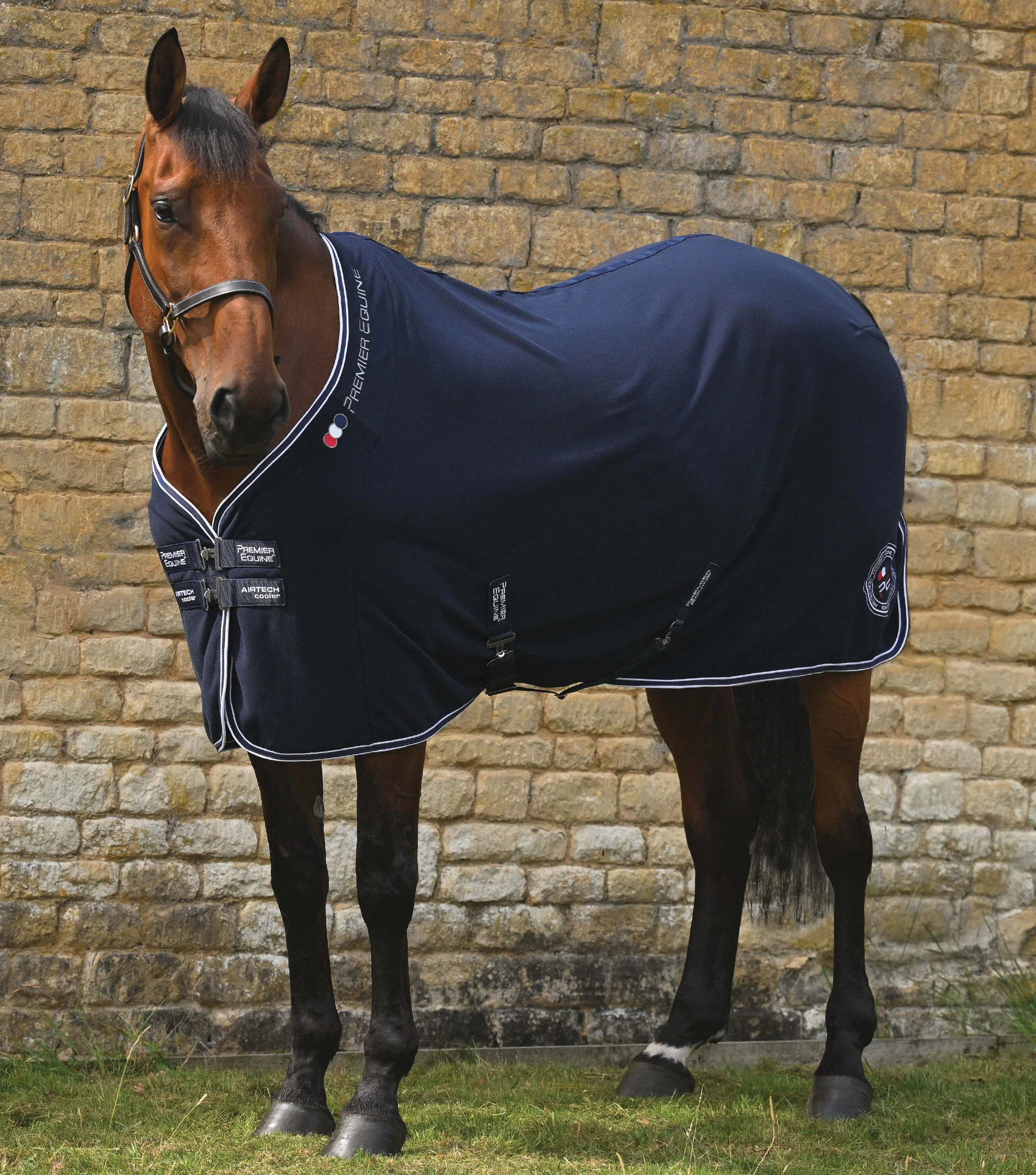 Airtech Horse Cooler Rug Navy
