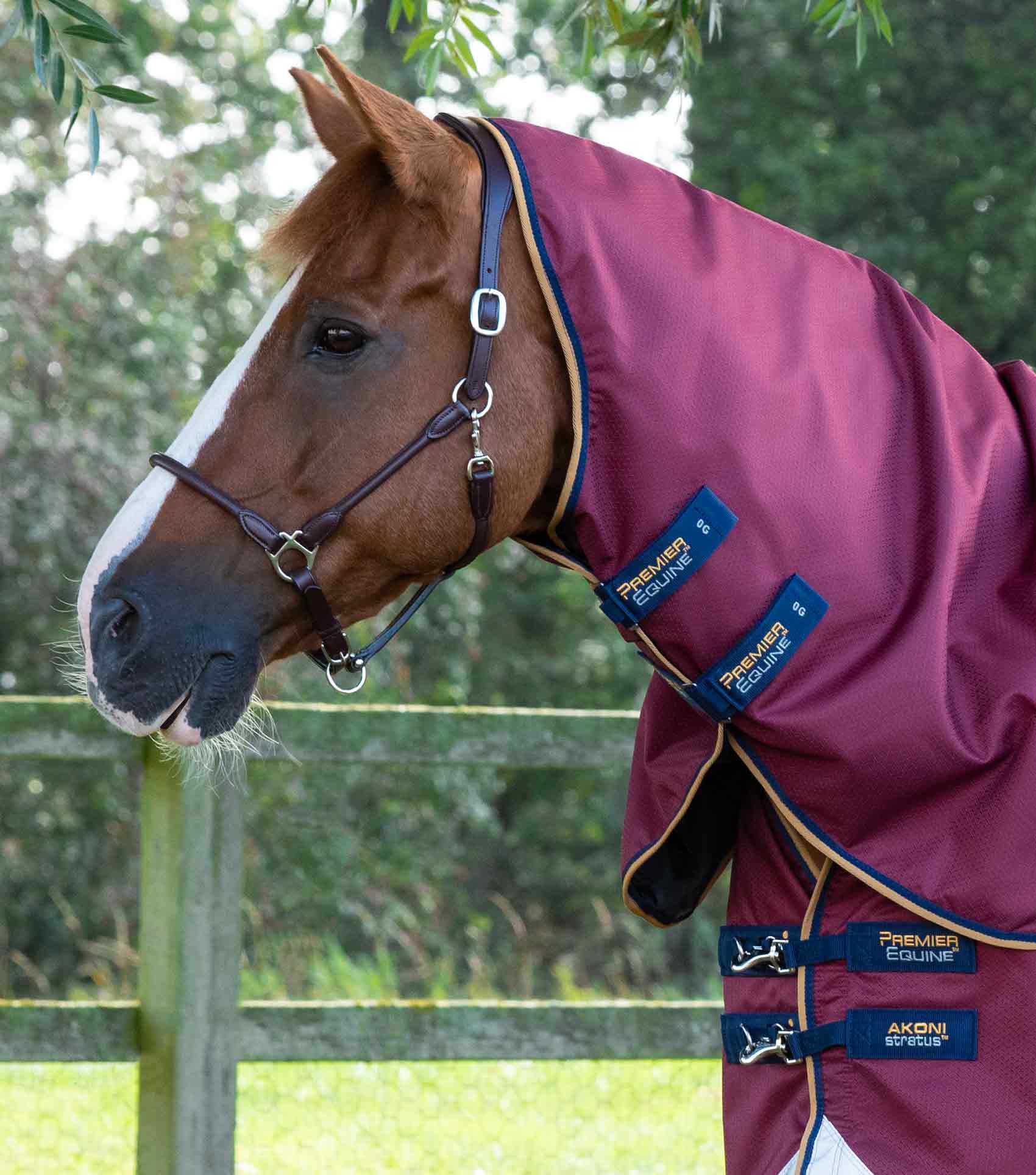 Akoni 0g Turnout Rug with Classic Neck Cover Wine - Image 2