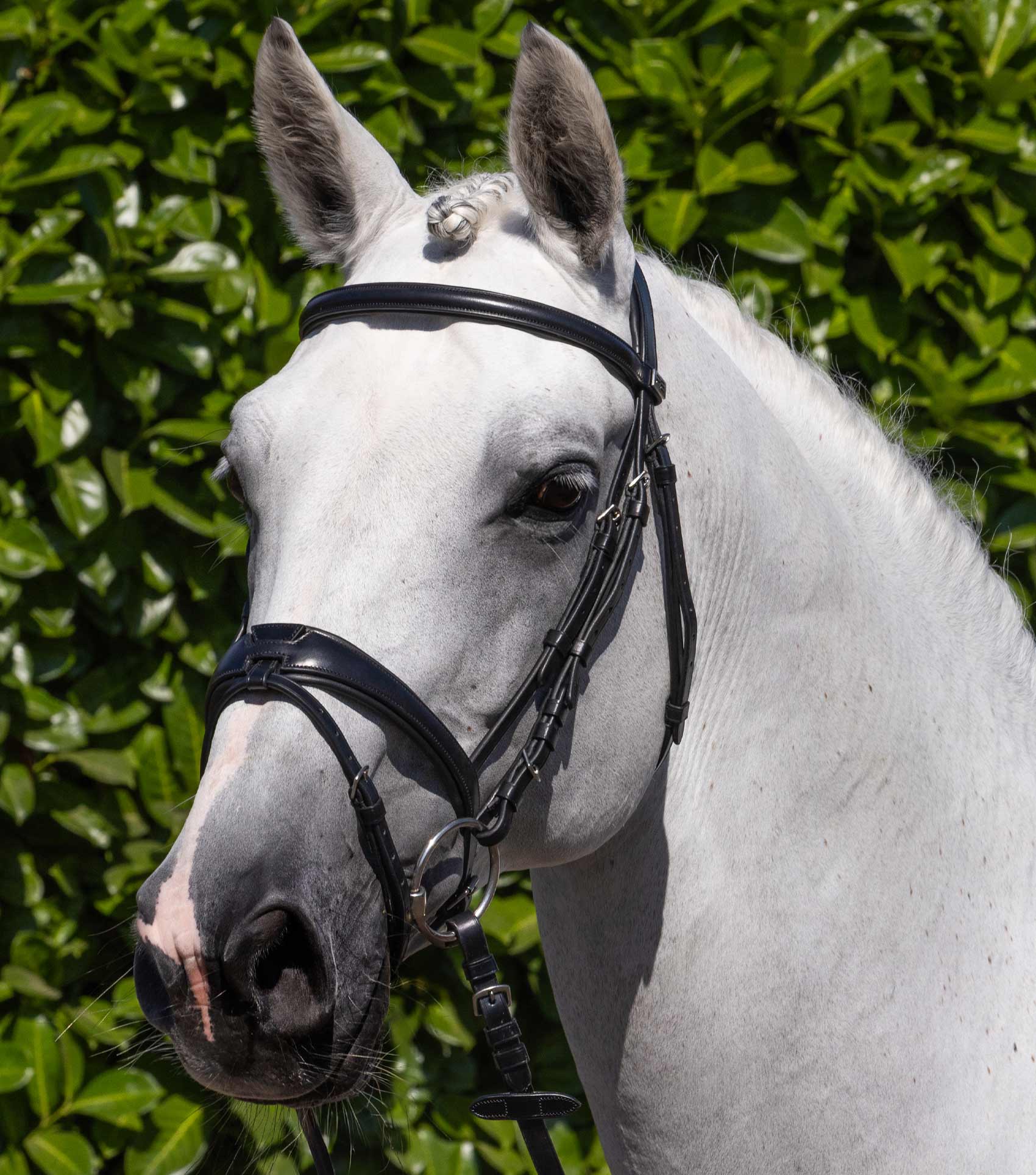Artana Anatomical Snaffle Bridle with Flash Black