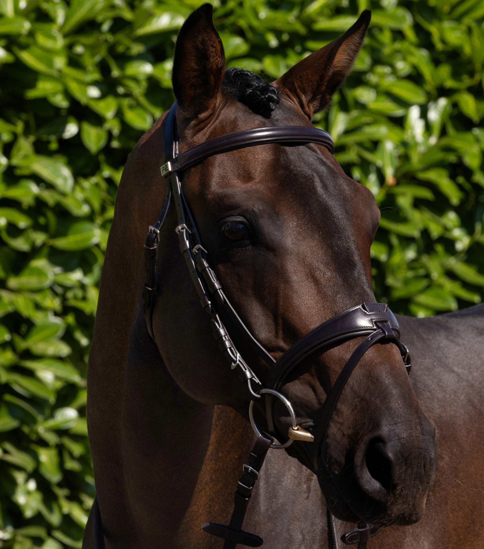 Artana Anatomical Snaffle Bridle with Flash Brown