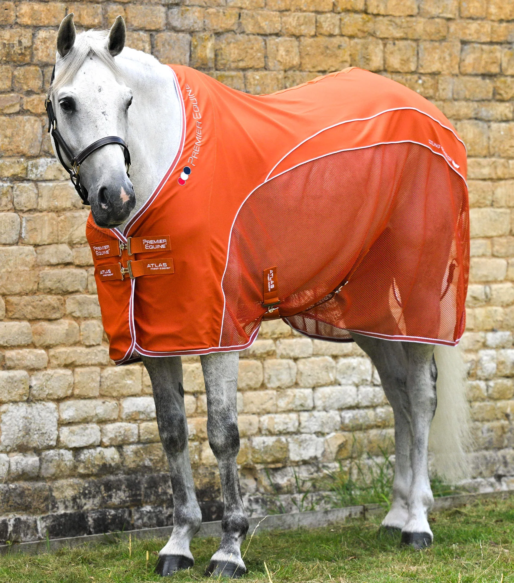Atlas Mesh Horse Cooler Rug Burnt Orange