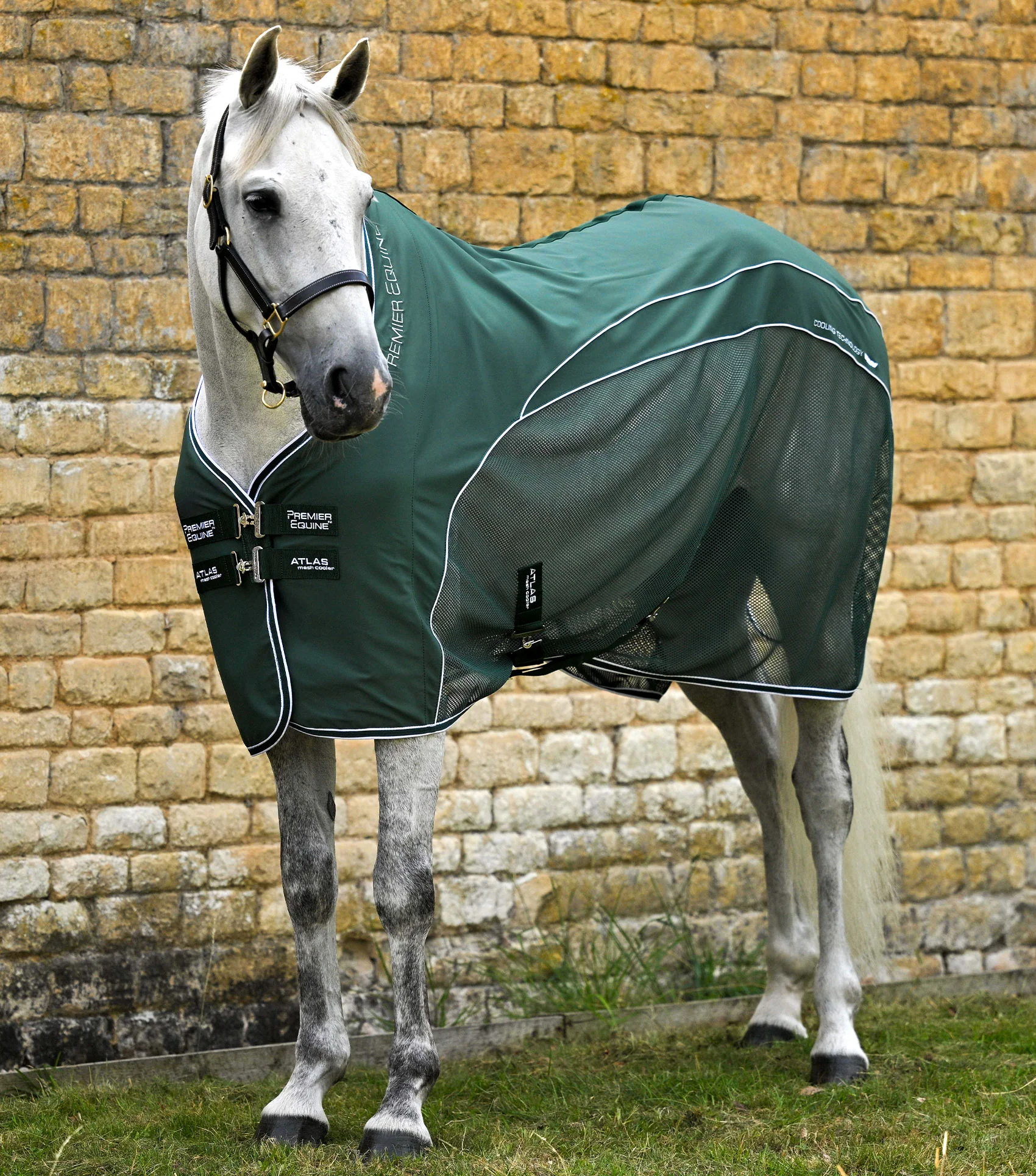 Atlas Mesh Horse Cooler Rug Green