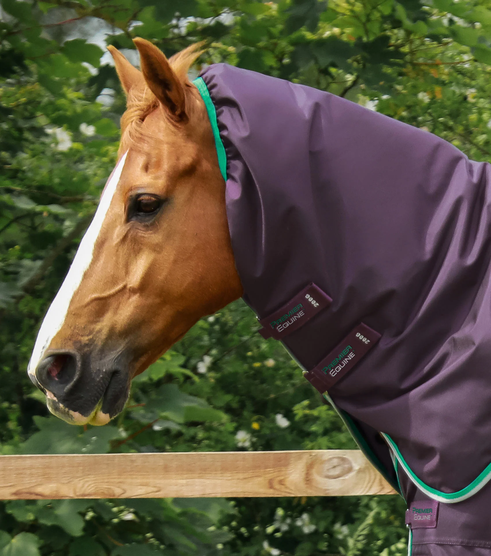 Buster 200g Turnout Rug with Snug-Fit Neck Cover Purple - Image 3
