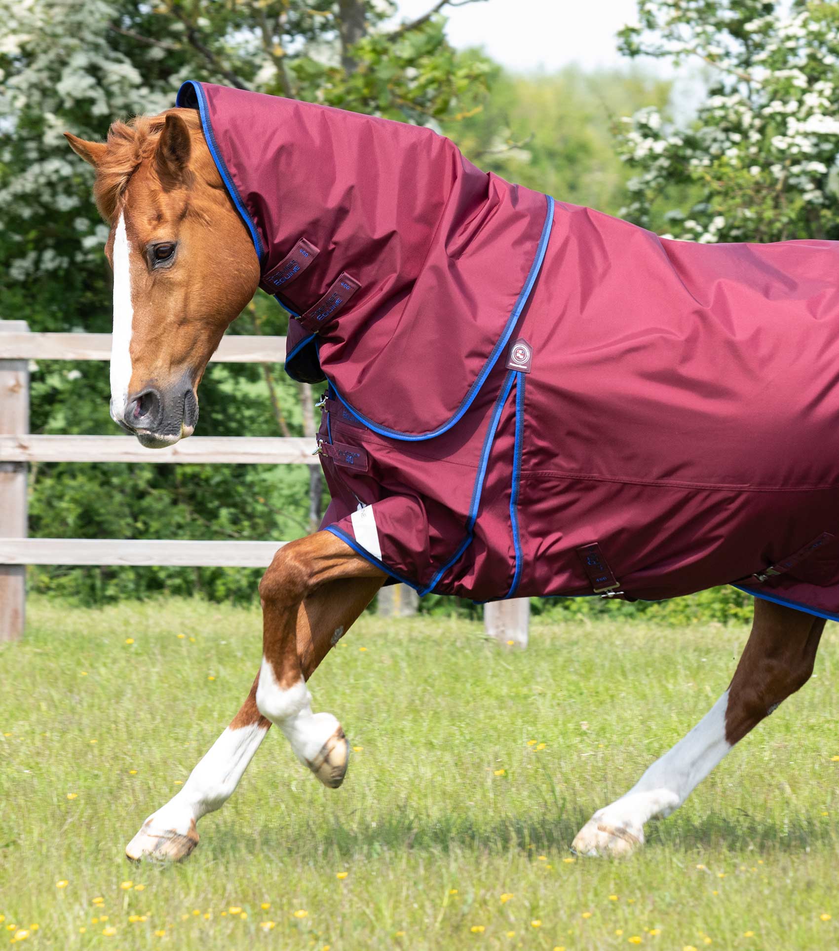 Buster 40g Turnout Rug with Classic Neck Cover Burgundy - Image 2