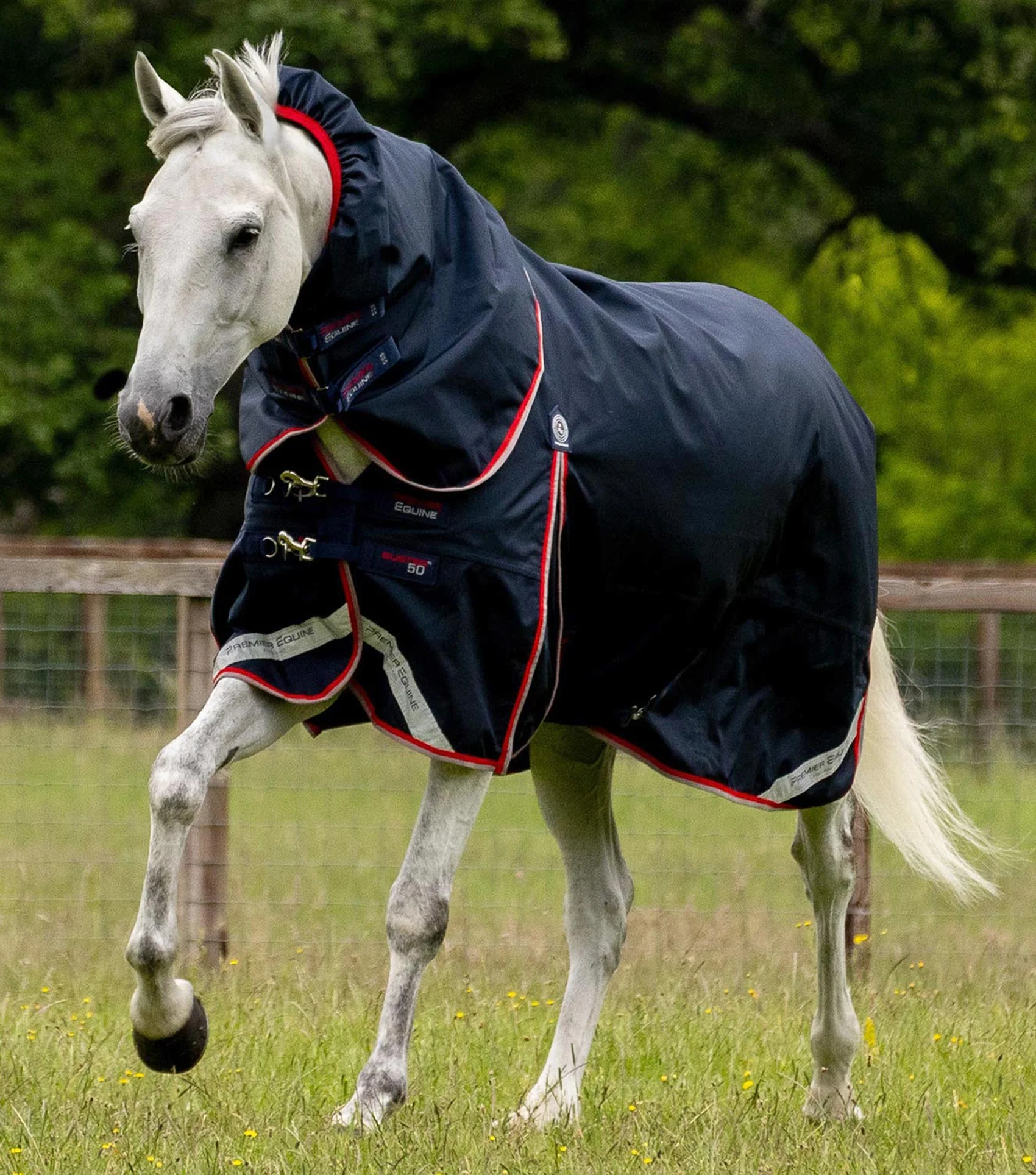 Buster 50g Turnout Rug with Snug-Fit Neck Cover Navy