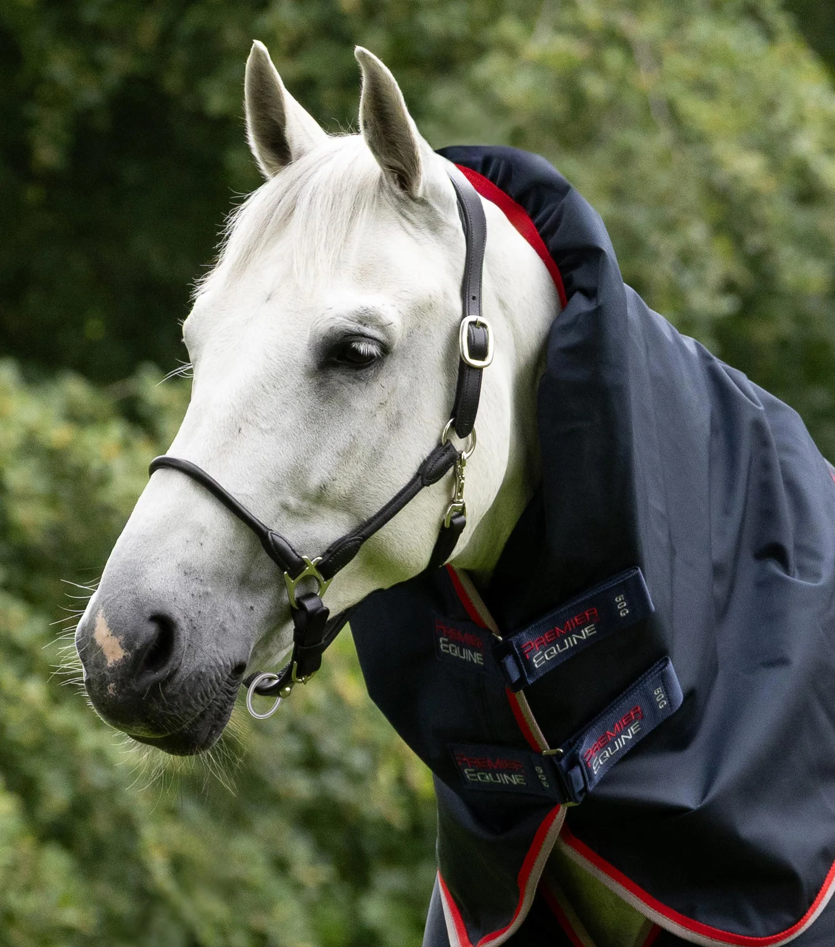 Buster 50g Turnout Rug with Snug-Fit Neck Cover Navy - Image 2