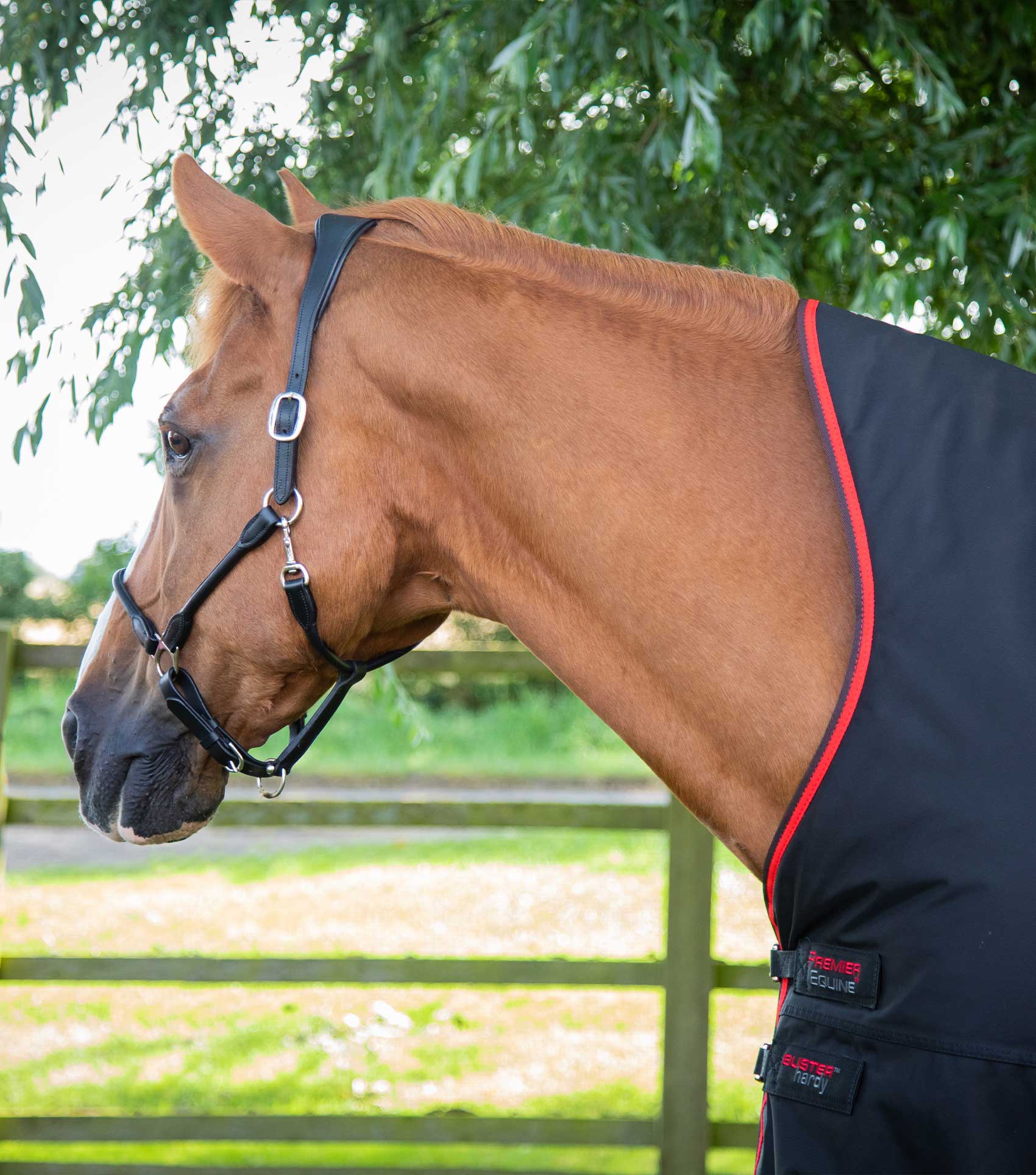 Buster Hardy 400g Half Neck Turnout Rug Black - Image 2