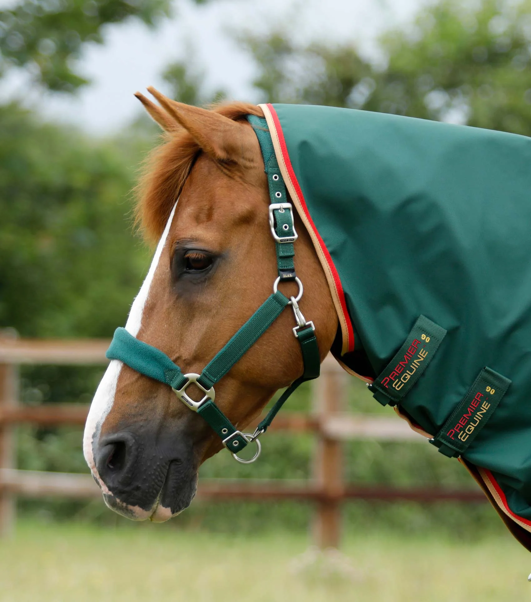 Buster Zero Turnout Rug with Classic Neck Cover Green - Image 3
