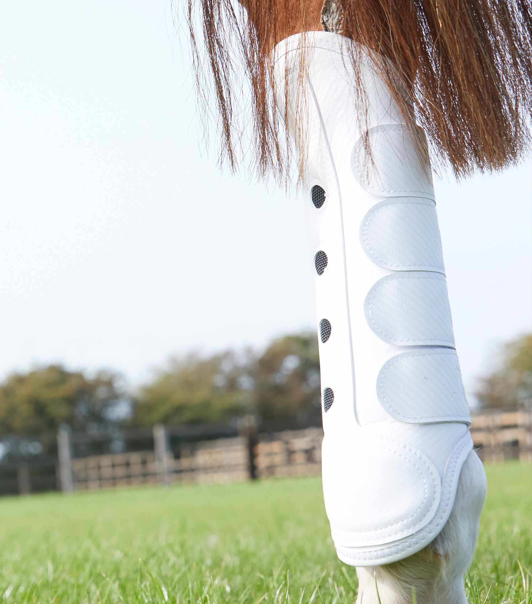 Carbon Tech Air Cooled Eventing Boots White Hind - Image 2