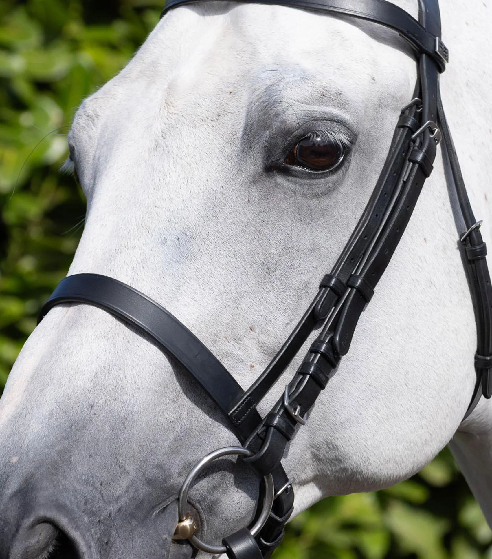 Cavesson Noseband for Racing Bridle Black - Image 2