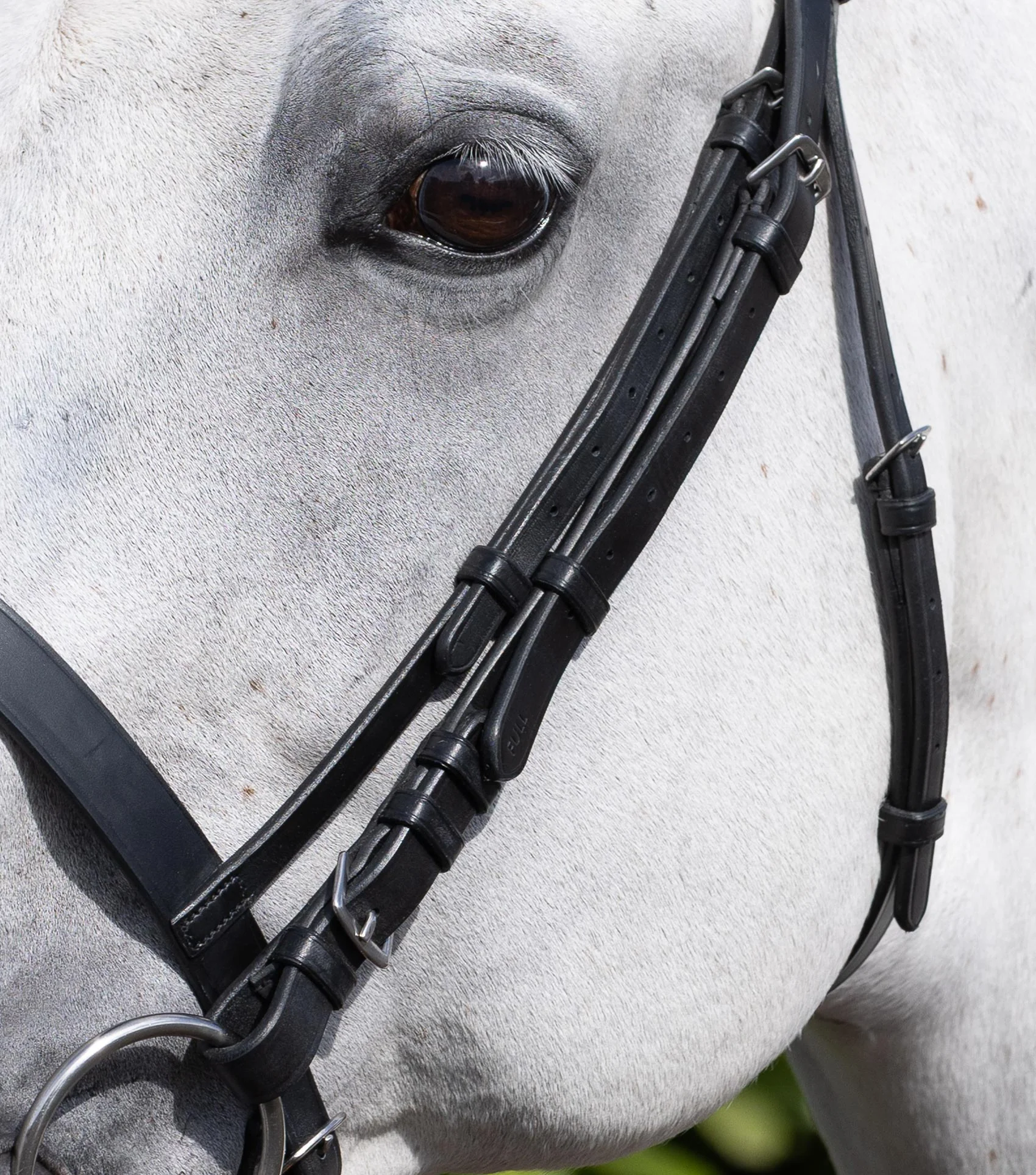 Cheek Pieces for Exercise / Racing Bridle Black - Image 2