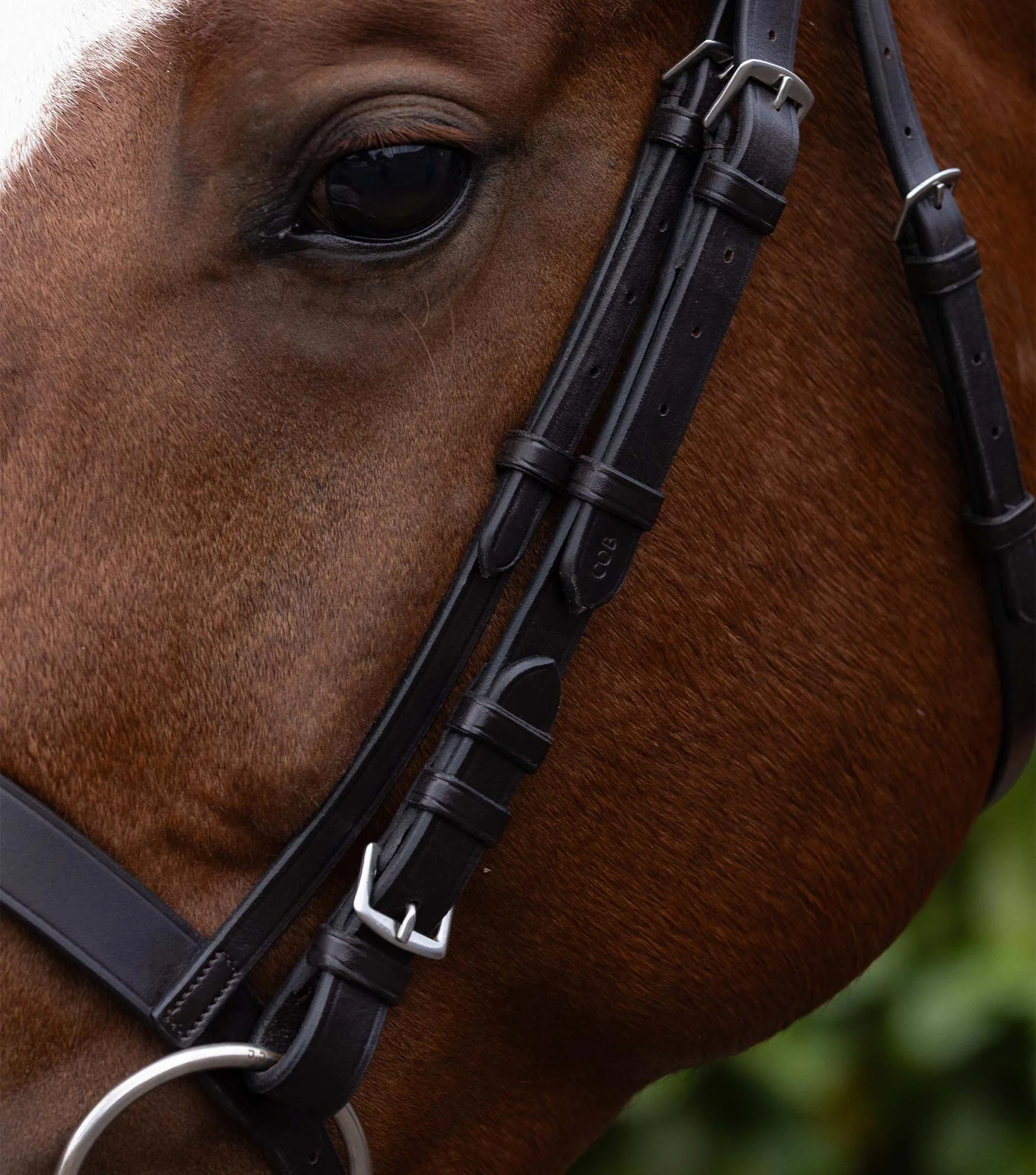 Cheek Pieces for Exercise / Racing Bridle Dark Havana - Image 2