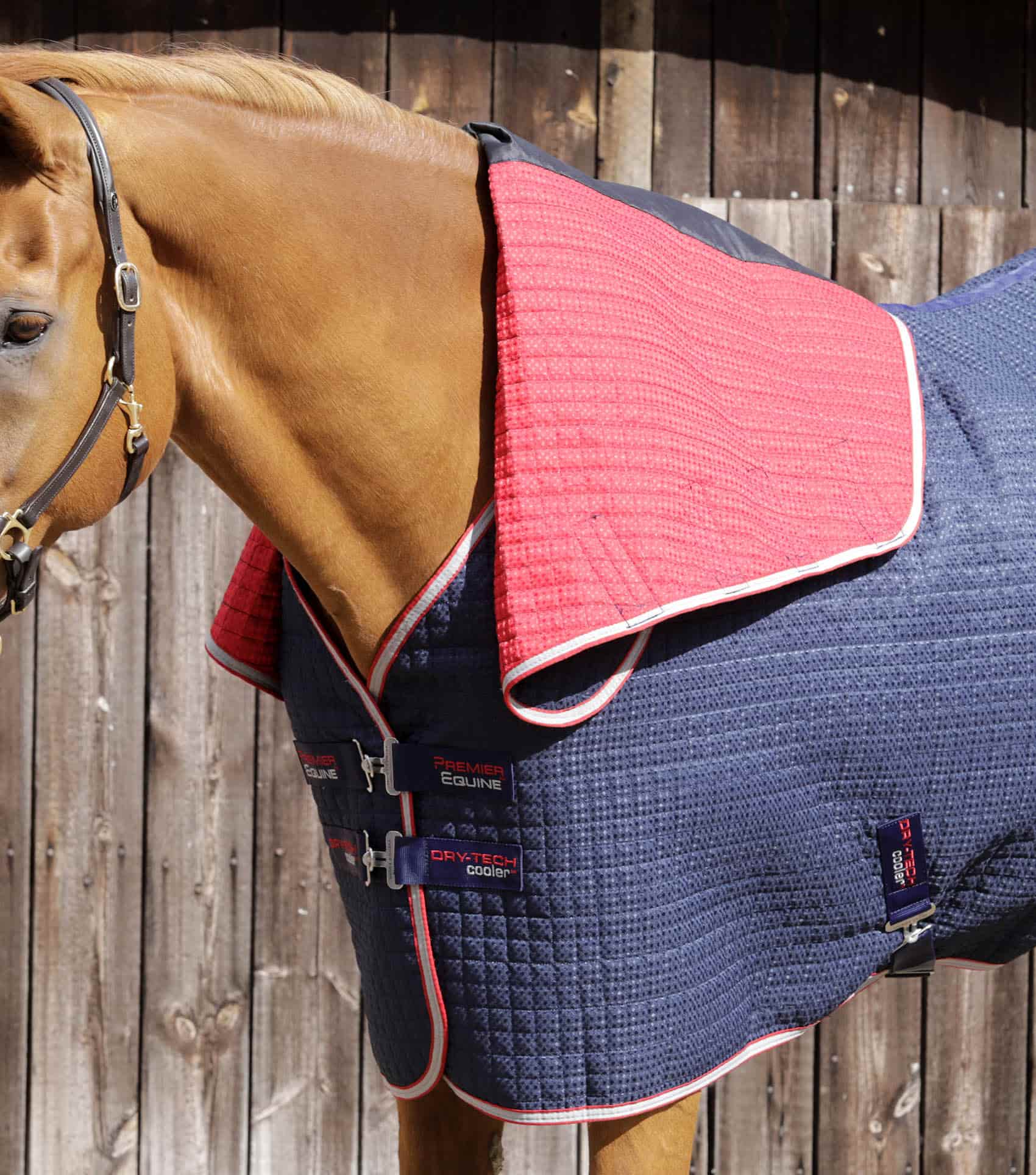 END OF LINE SALE- Combo Dry-Tech Horse Cooler Rug Navy - Image 4