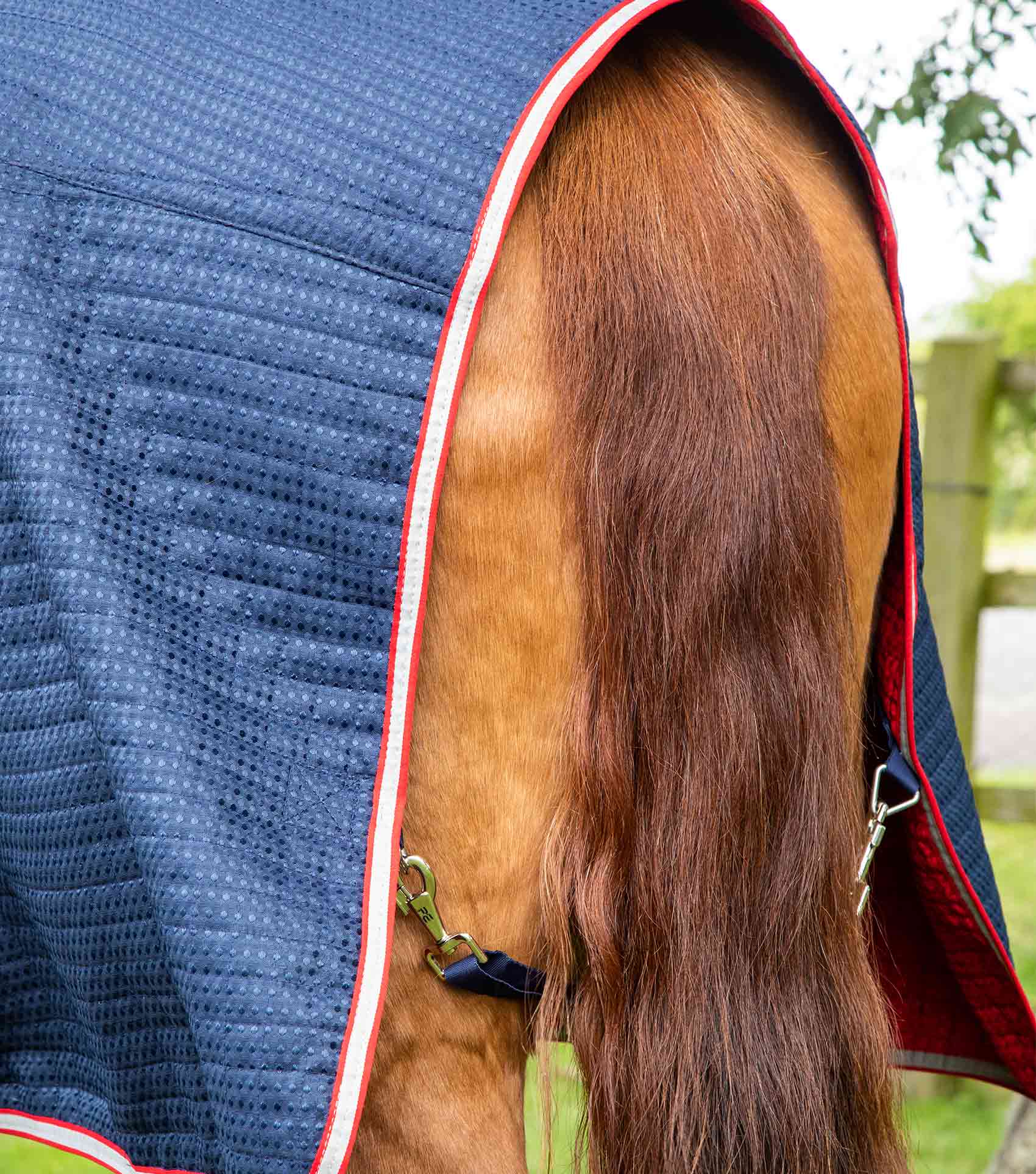 END OF LINE SALE- Combo Dry-Tech Horse Cooler Rug Navy - Image 5