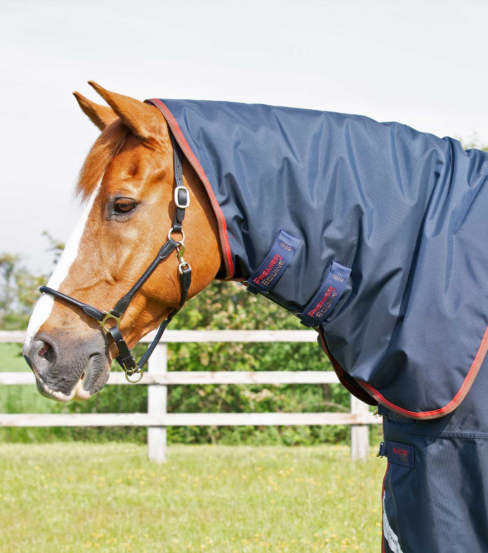 Buster 150g Classic Neck Cover (150g Fill) - Image 2