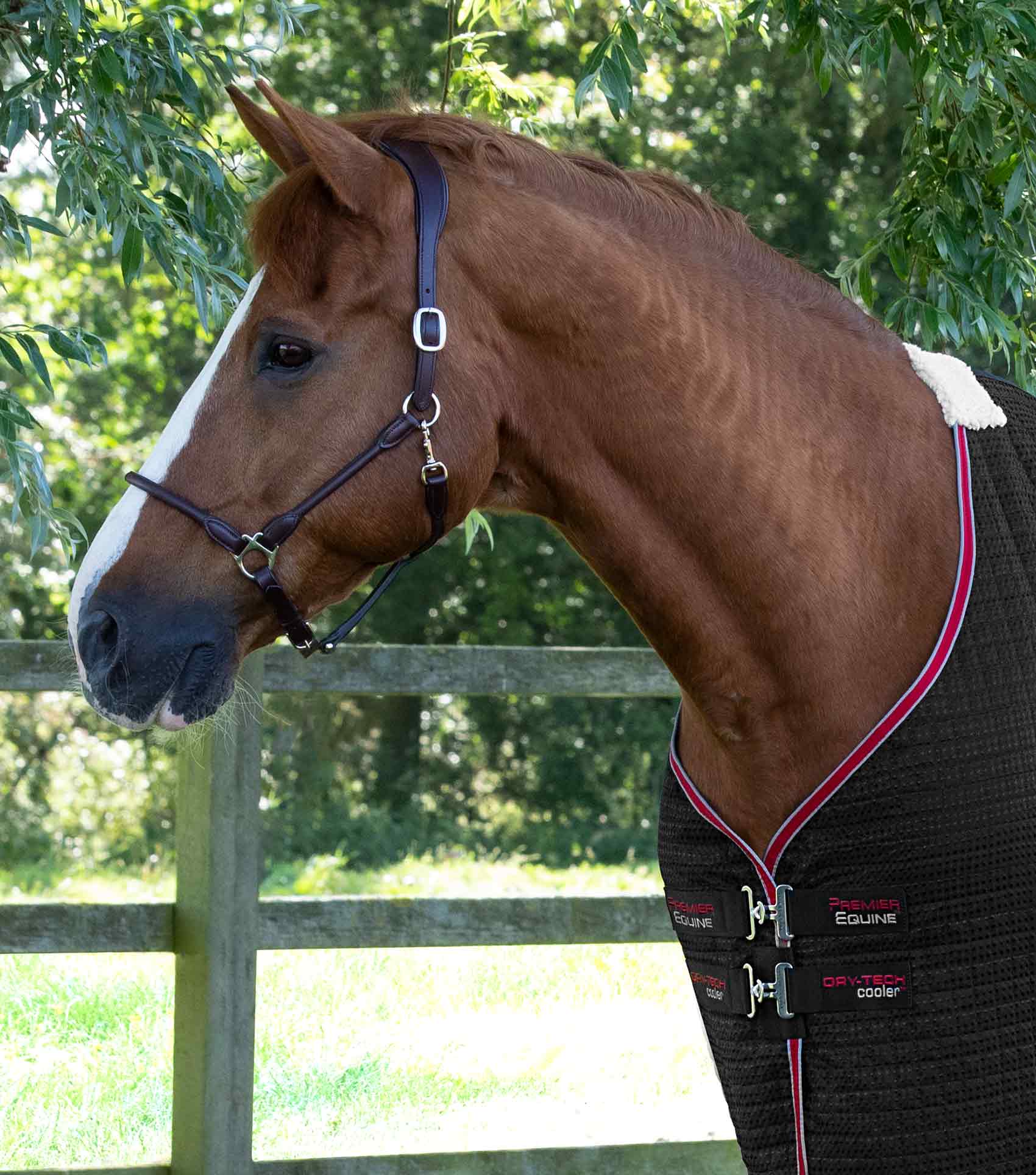 END OF LINE SALE- Dry-Tech Horse Cooler Rug Black - Image 2
