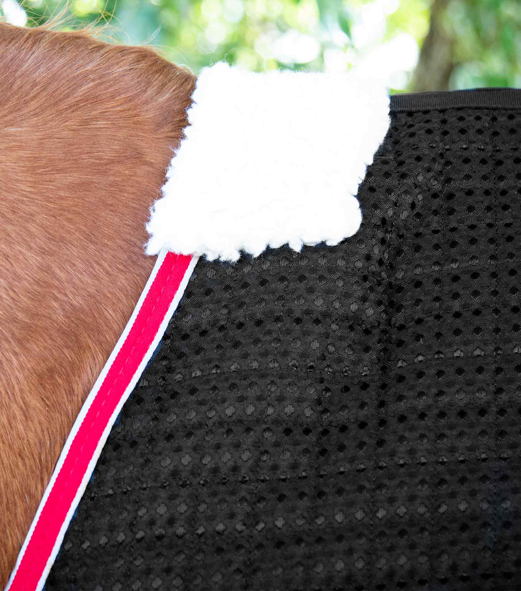 END OF LINE SALE- Dry-Tech Horse Cooler Rug Black - Image 3