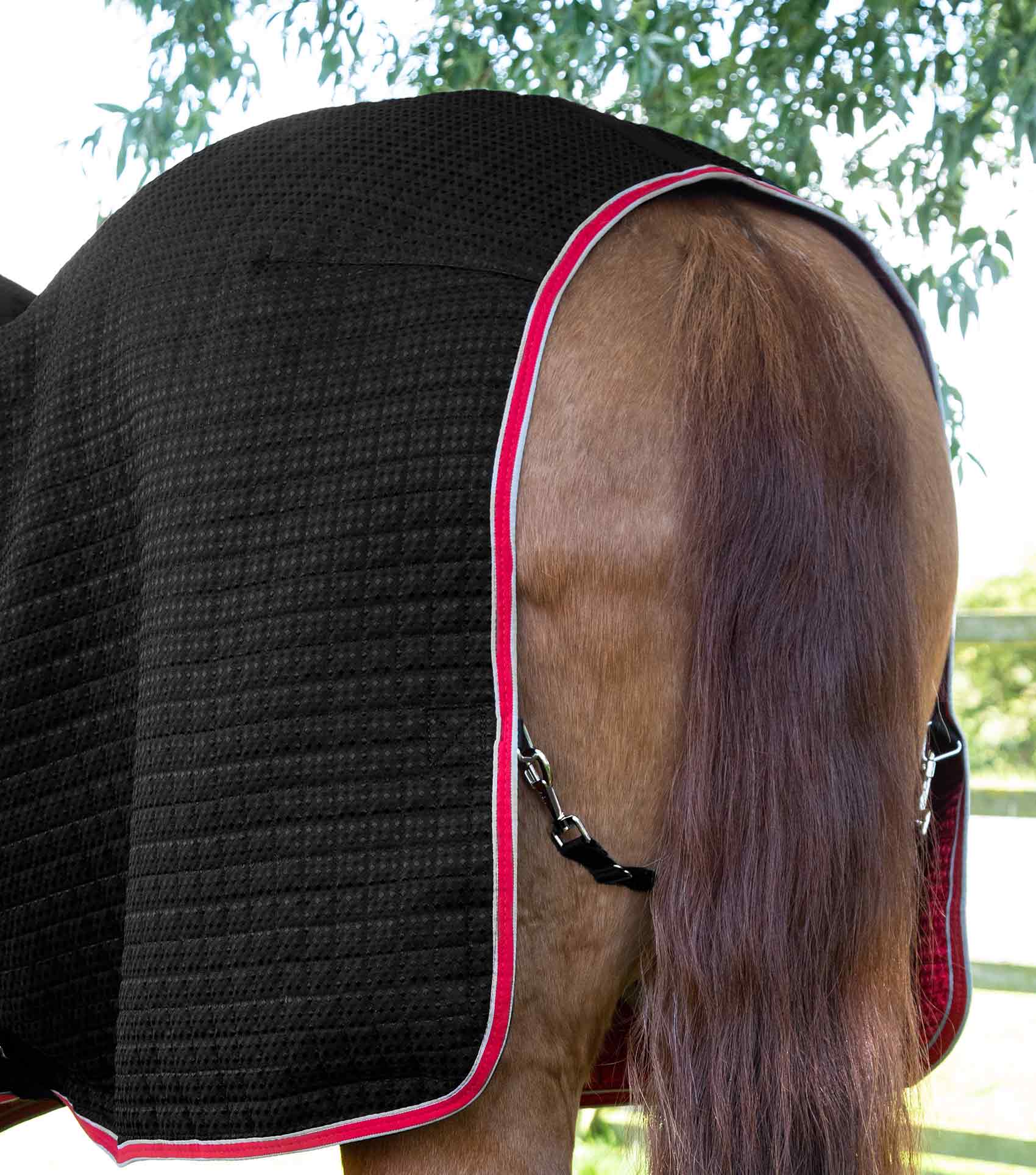 END OF LINE SALE- Dry-Tech Horse Cooler Rug Black - Image 5