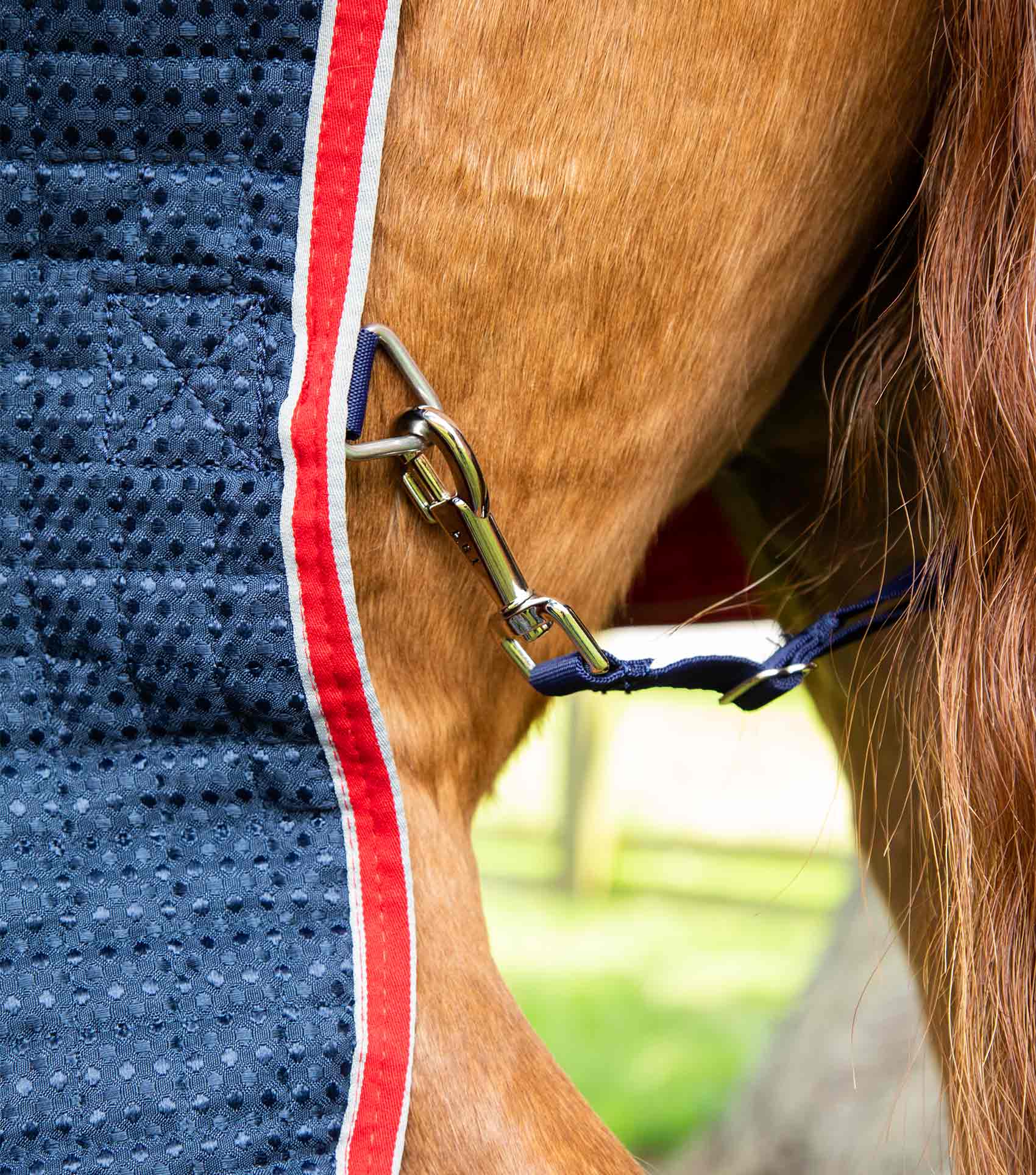 END OF LINE SALE- Dry-Tech Horse Cooler Rug Navy - Image 4