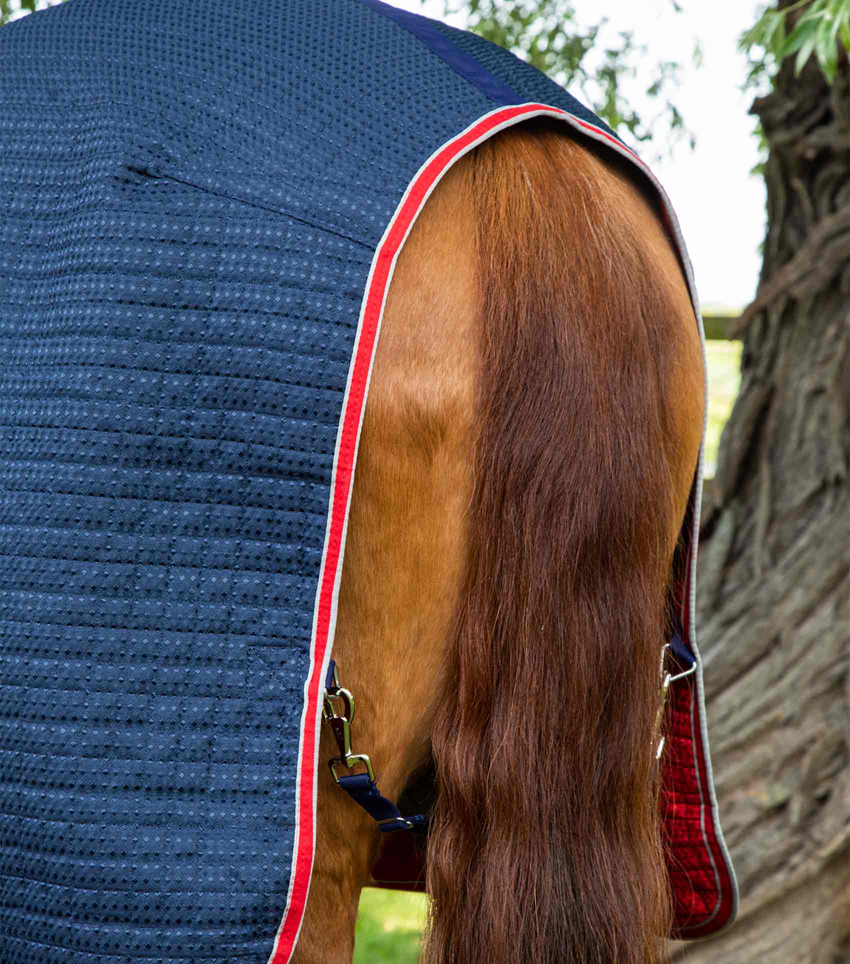 END OF LINE SALE- Dry-Tech Horse Cooler Rug Navy - Image 5