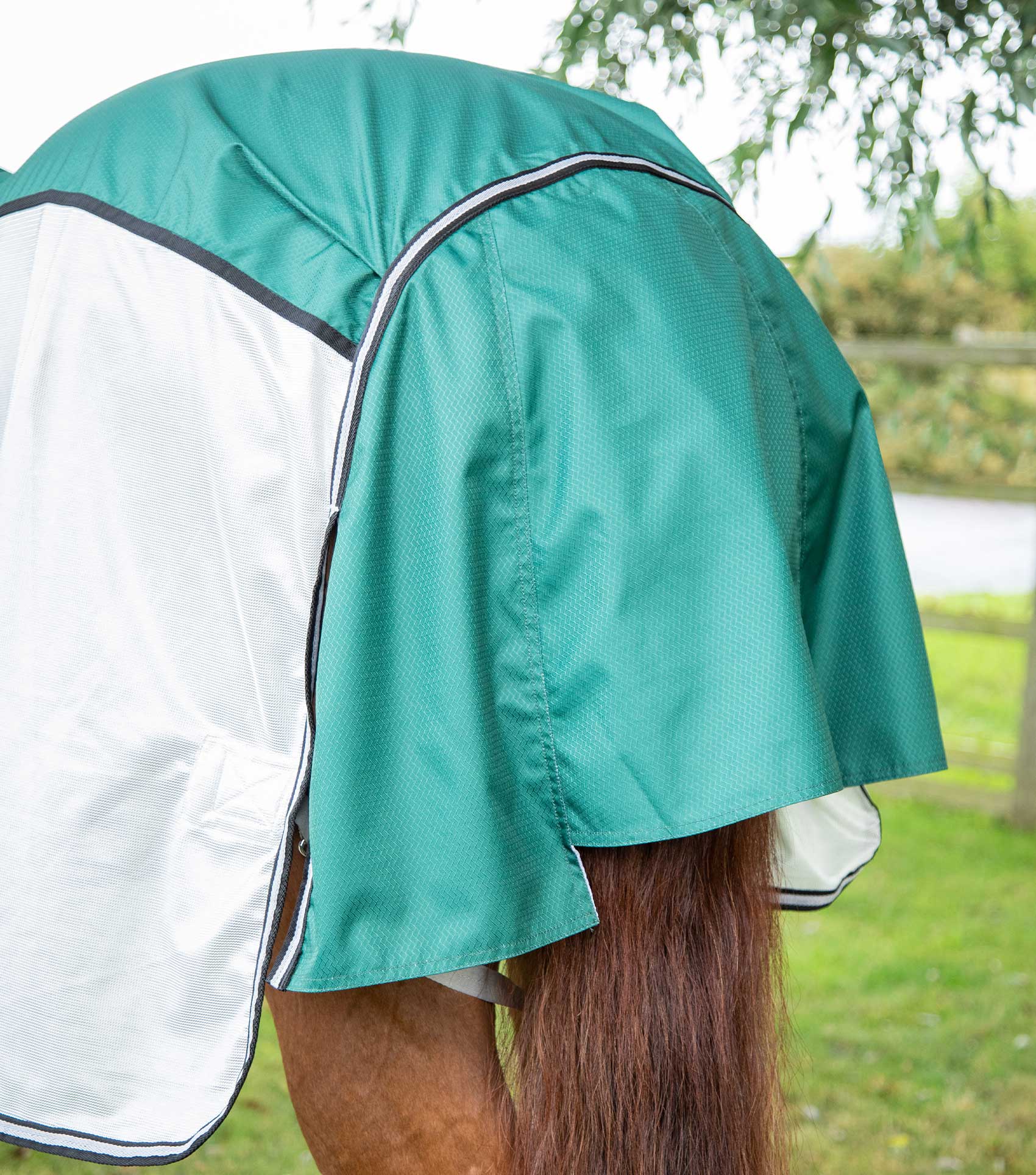 END OF SEASON SALE - ShowerTex Fly Rug with Surcingles Green - Image 6