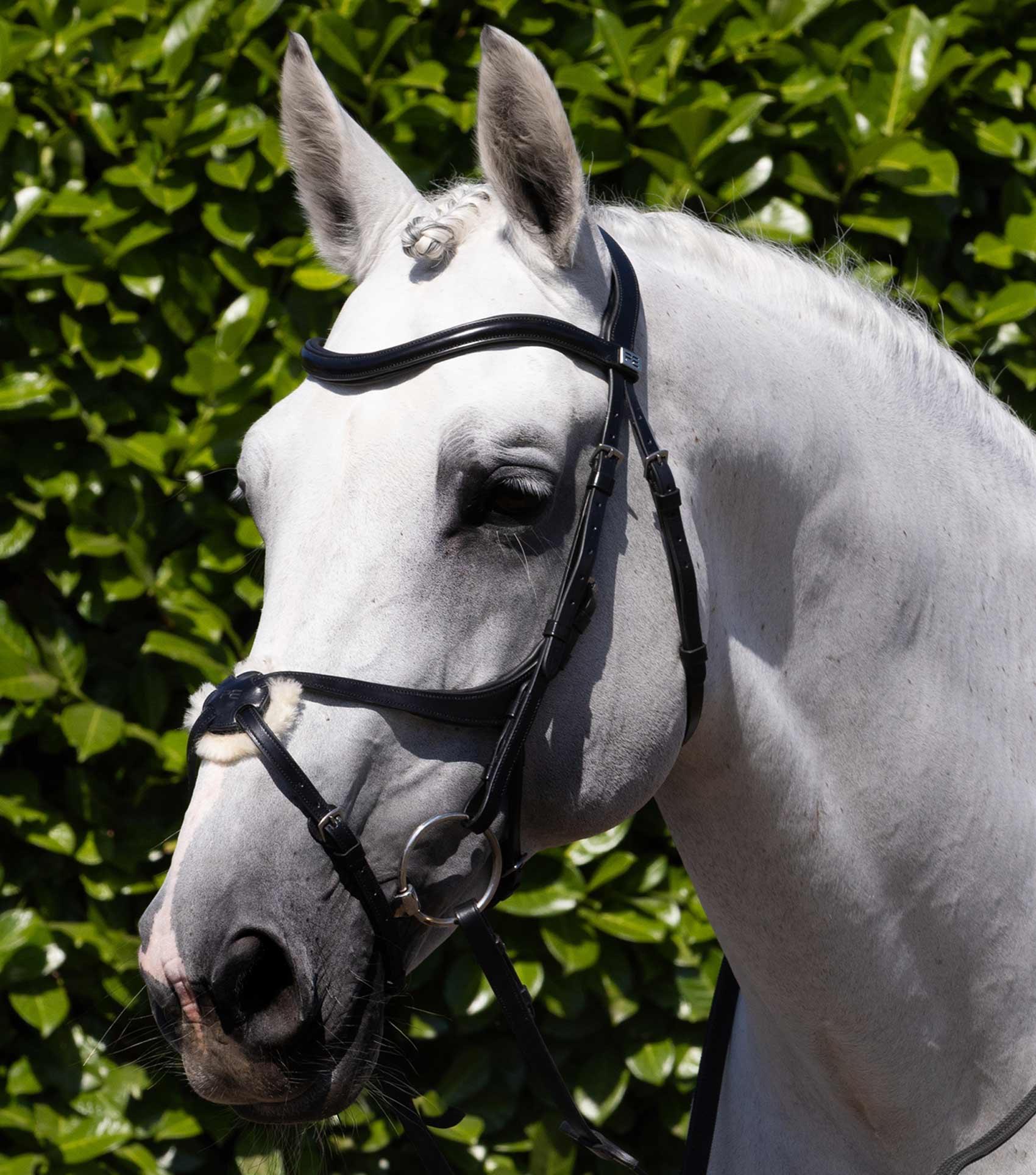 Glorioso Anatomical Grackle Bridle Black