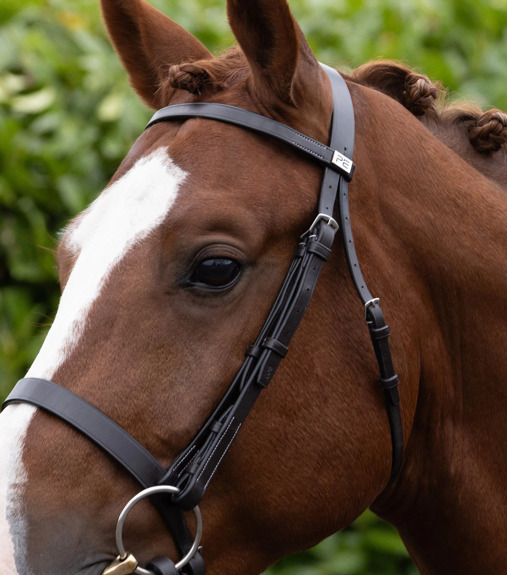 Hunter Plain Headpiece Dark Havana - Image 3