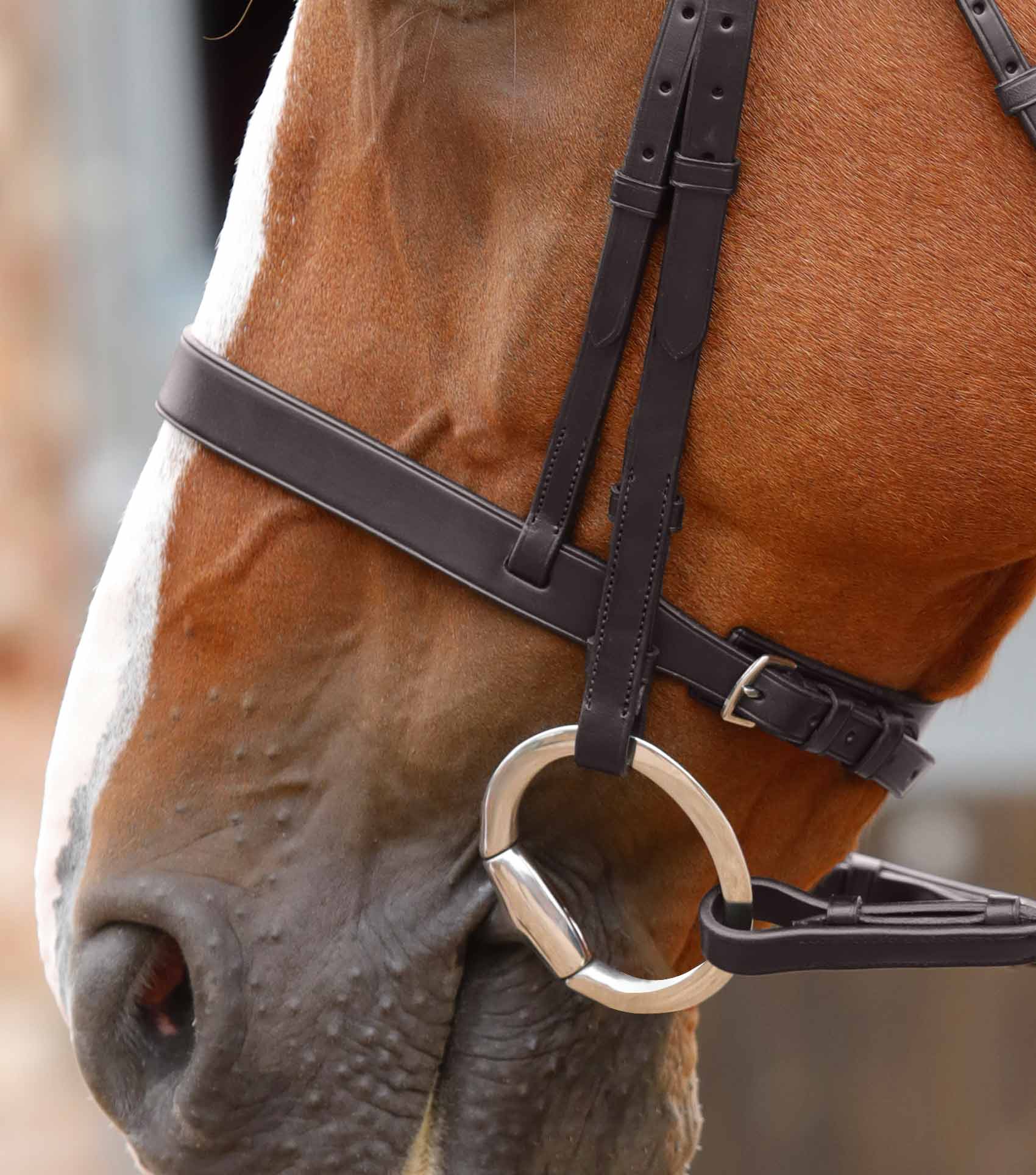 Jointed Flat Ring Eggbutt Snaffle - Image 2