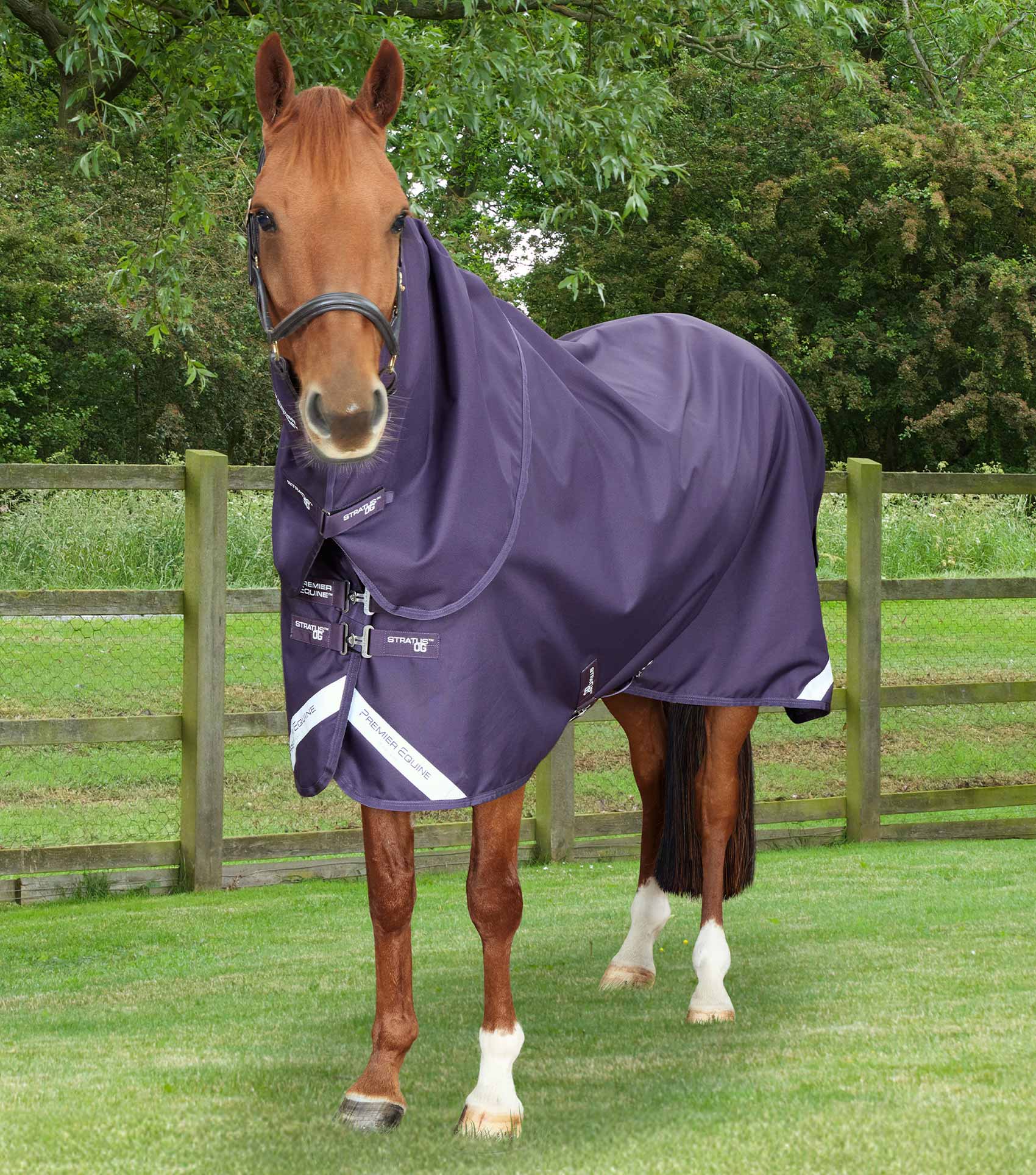 MARKED - Stratus 1200 Series 0g Turnout Rug with Classic Neck Cover Purple