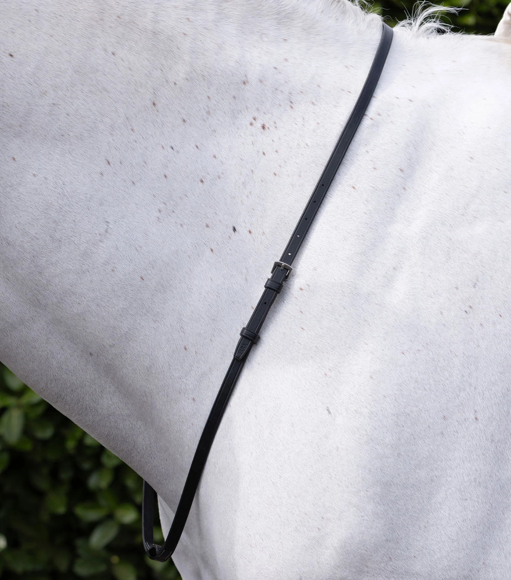 European Neck Strap Black