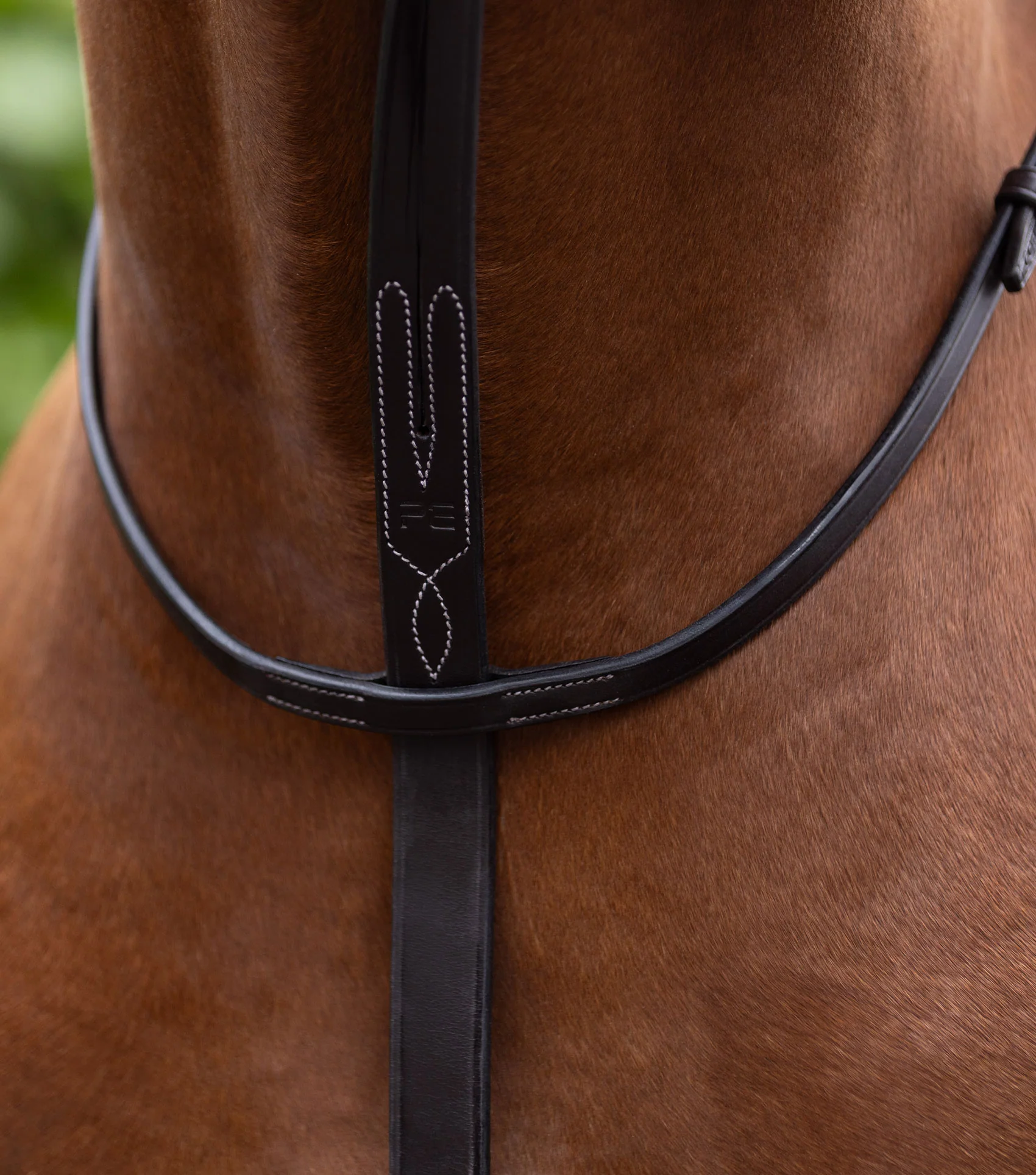 European Neck Strap Dark Havana - Image 4