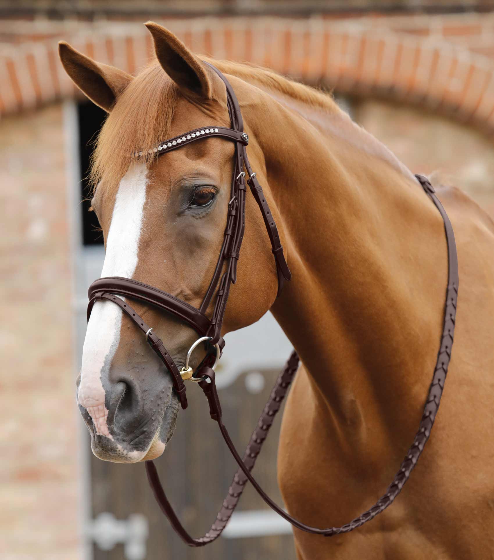 Pietro Laced Reins Brown - Image 2