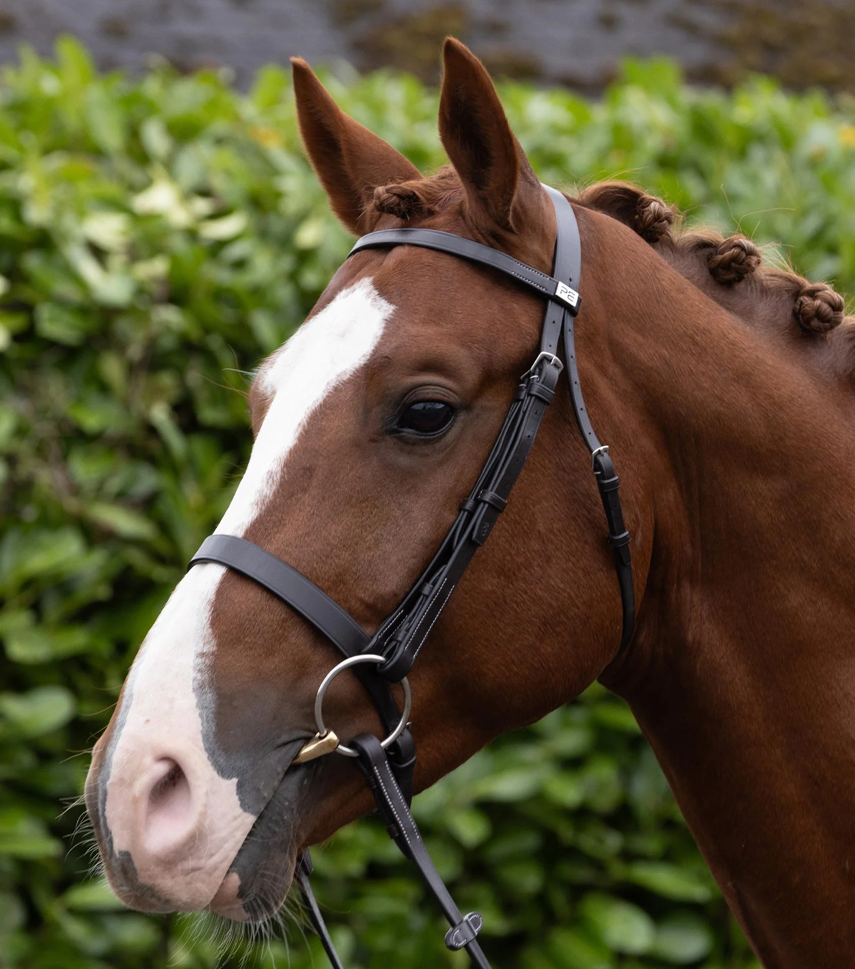 Hunter Plain Browband Dark Havana - Image 2