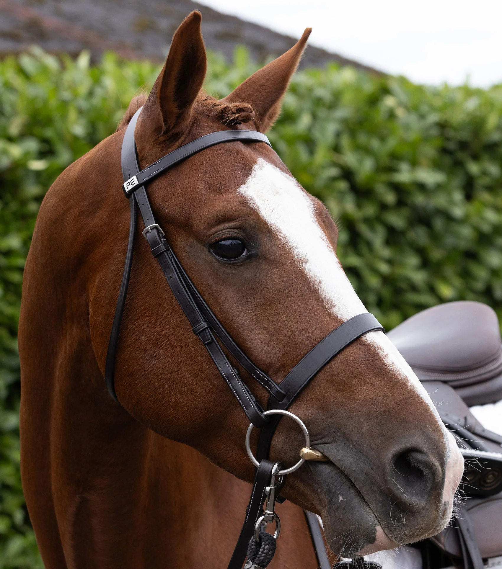 Hunter Plain Browband Dark Havana - Image 6
