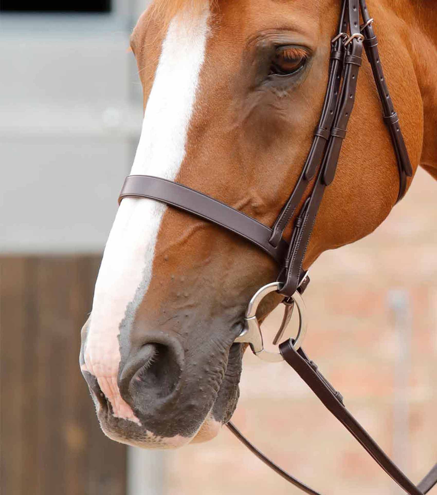 Primo Hunter Cavesson Noseband Brown - Image 2