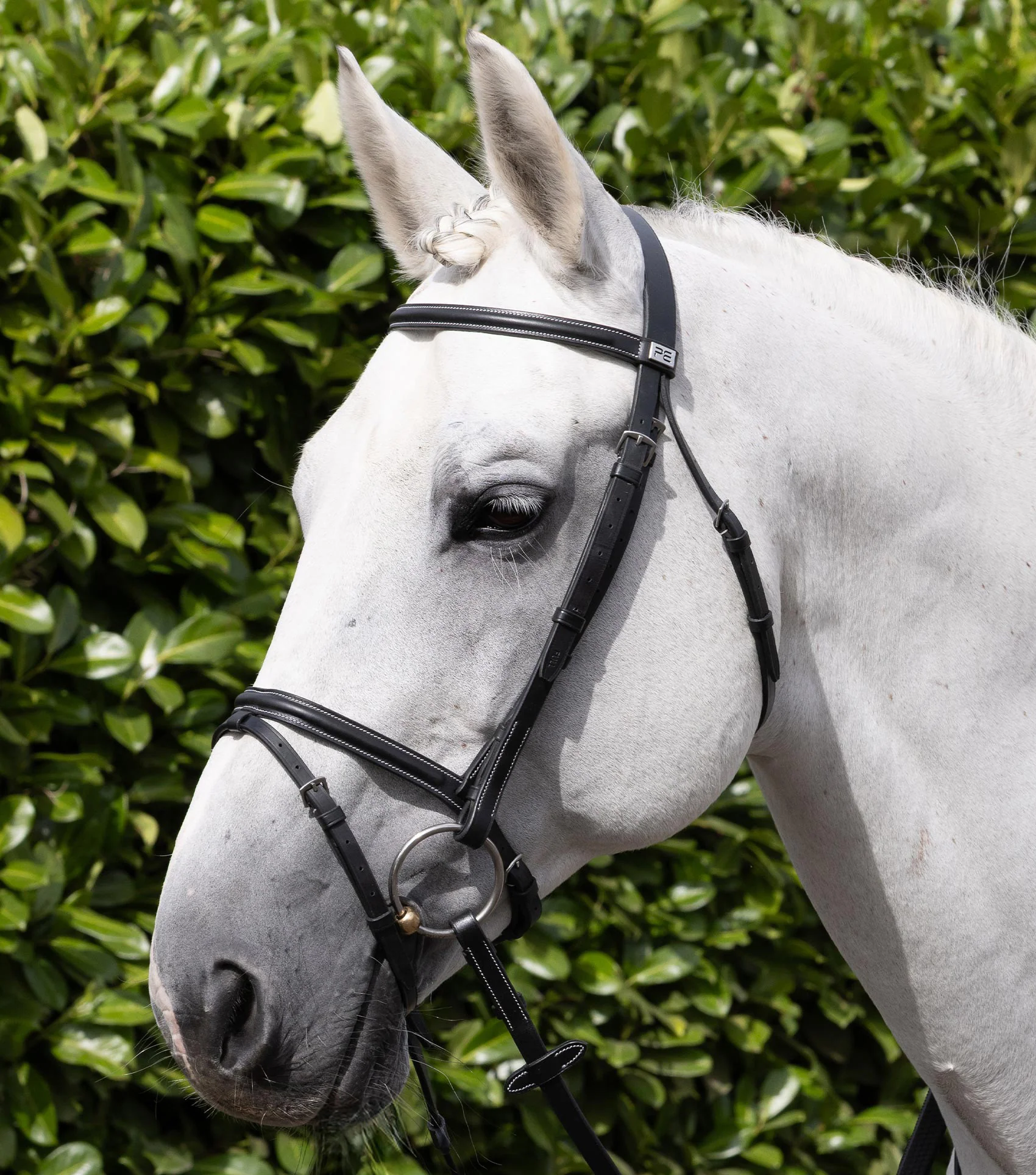 Raised Jump Browband Black - Image 2