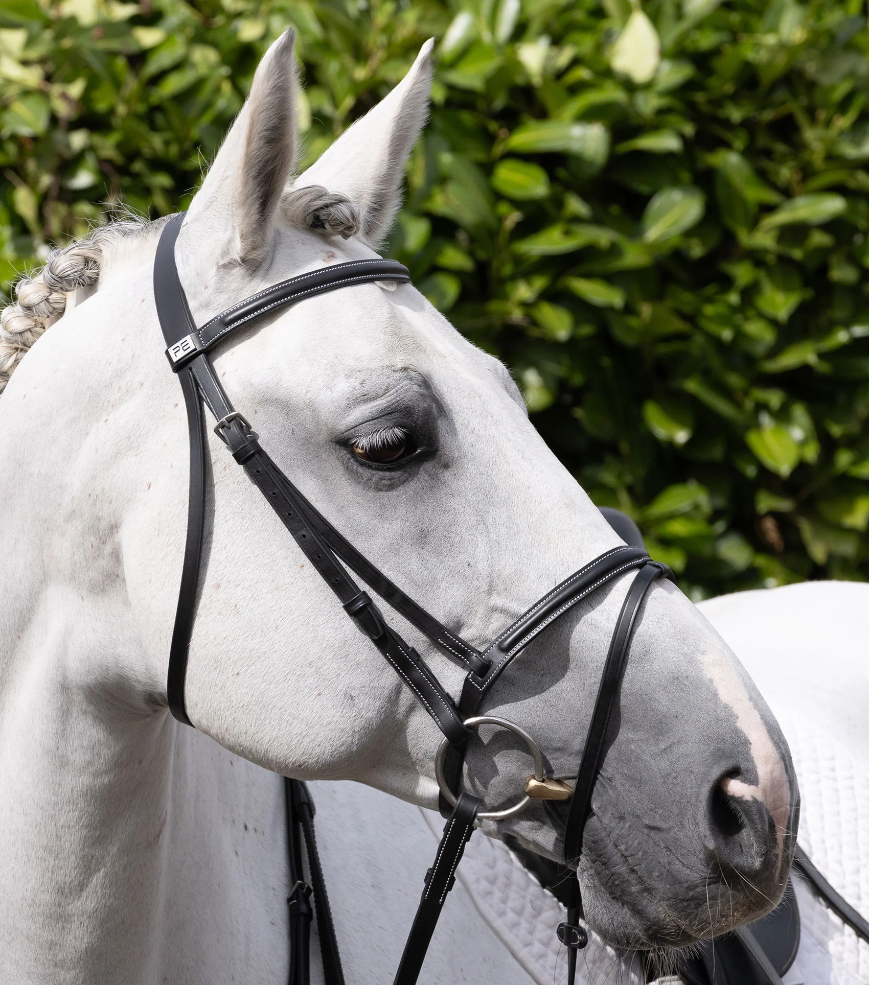 Raised Jump Browband Black - Image 6