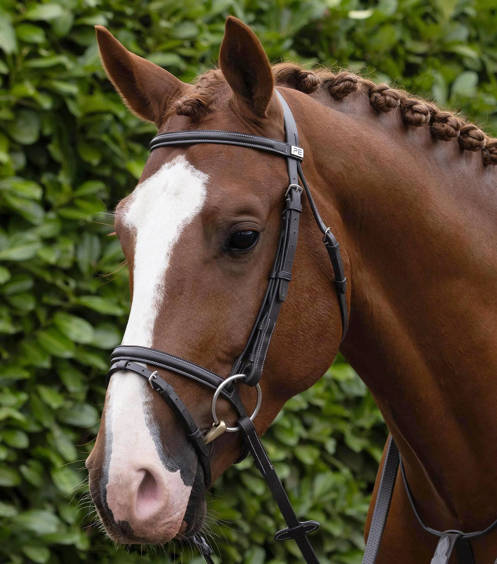 Raised Jump Browband Dark Havana - Image 2