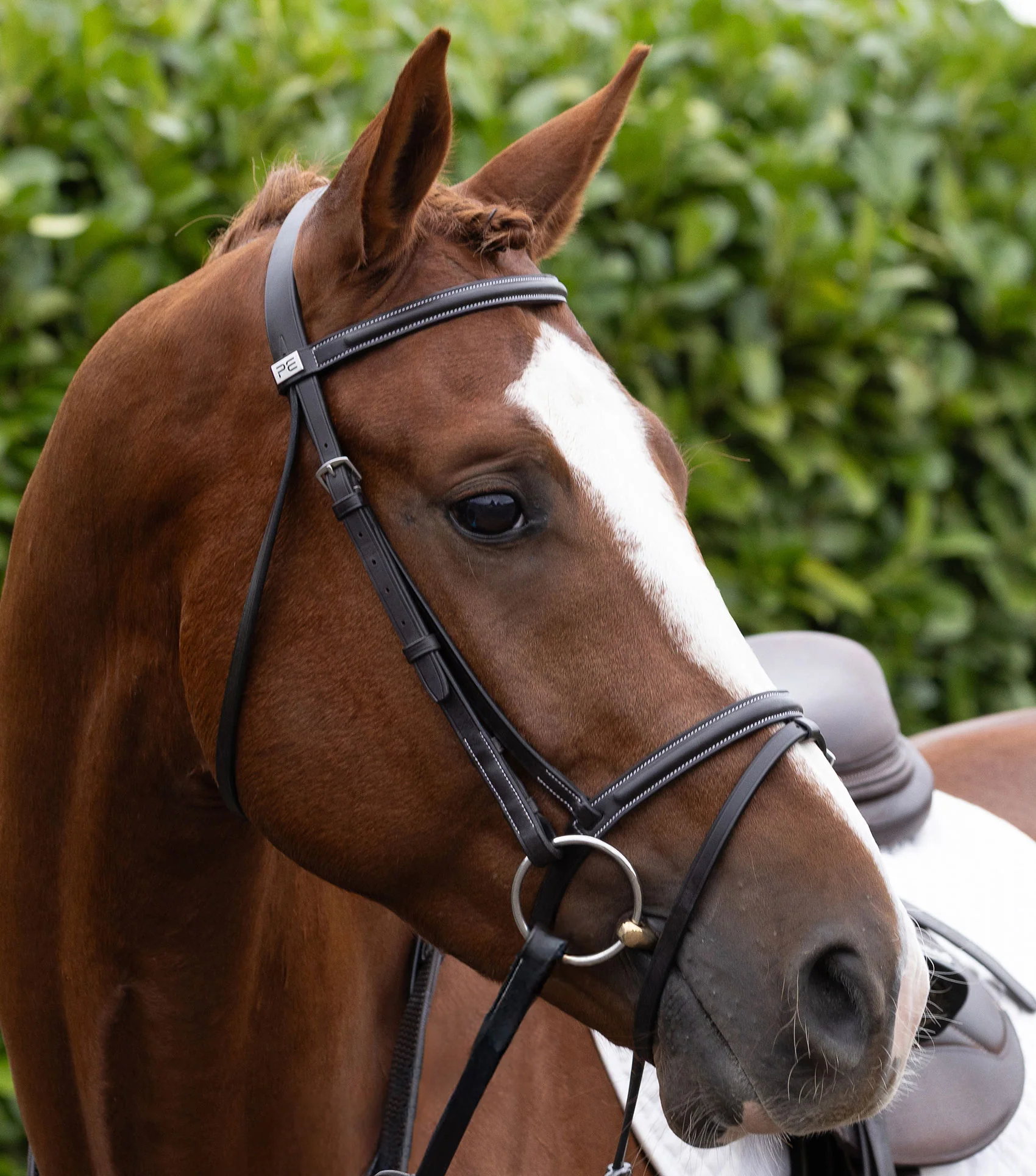 Raised Jump Browband Dark Havana - Image 6
