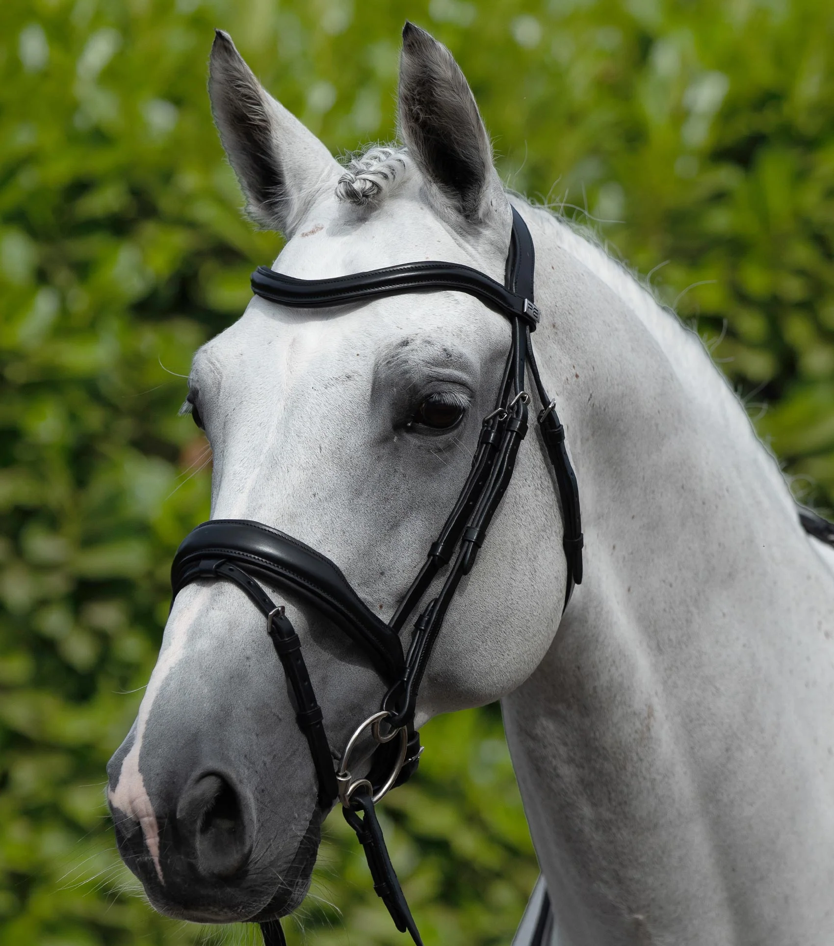 Rizzo Anatomical Snaffle Bridle with Flash Black