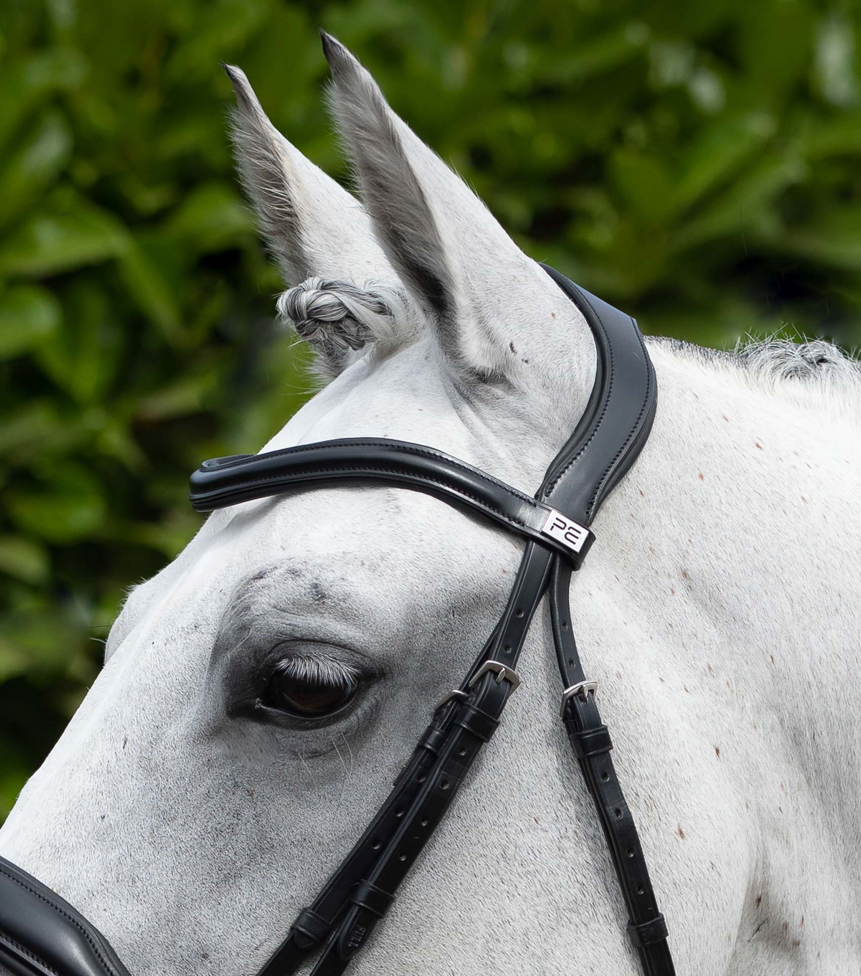 Rizzo Anatomical Snaffle Bridle with Flash Black - Image 3