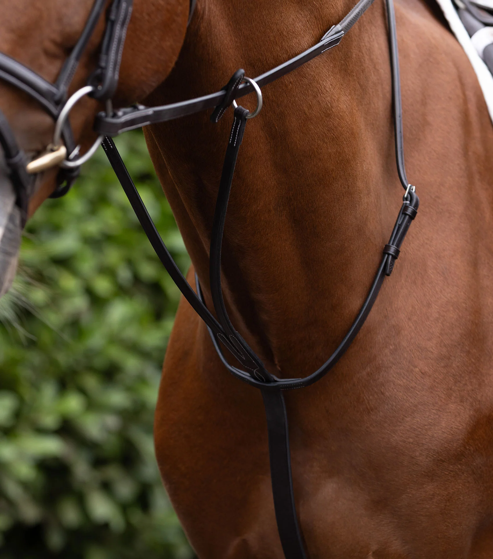 European Running Martingale Dark Havana