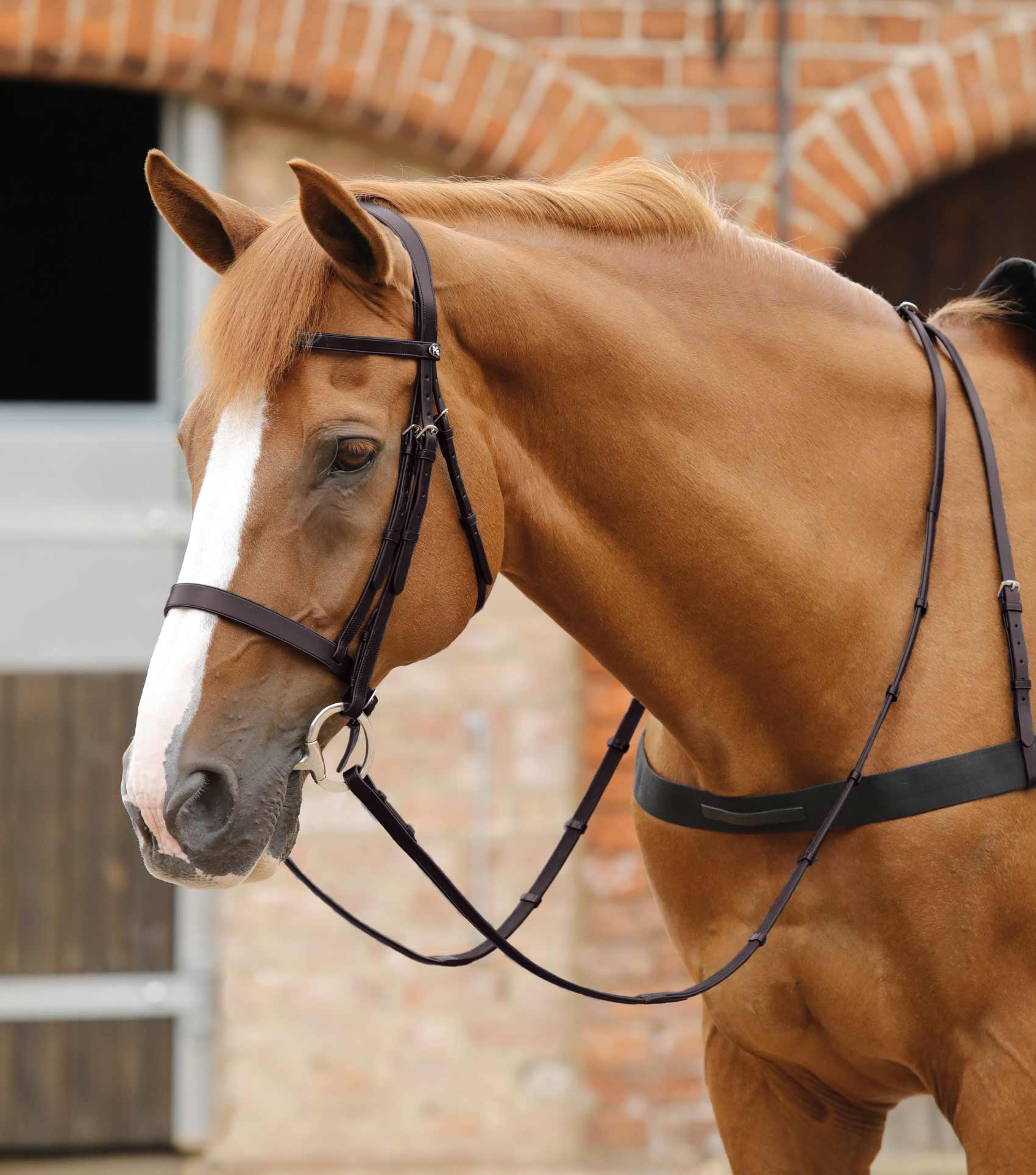 Salvatore Rubber & Leather Grip Reins Brown - Image 2