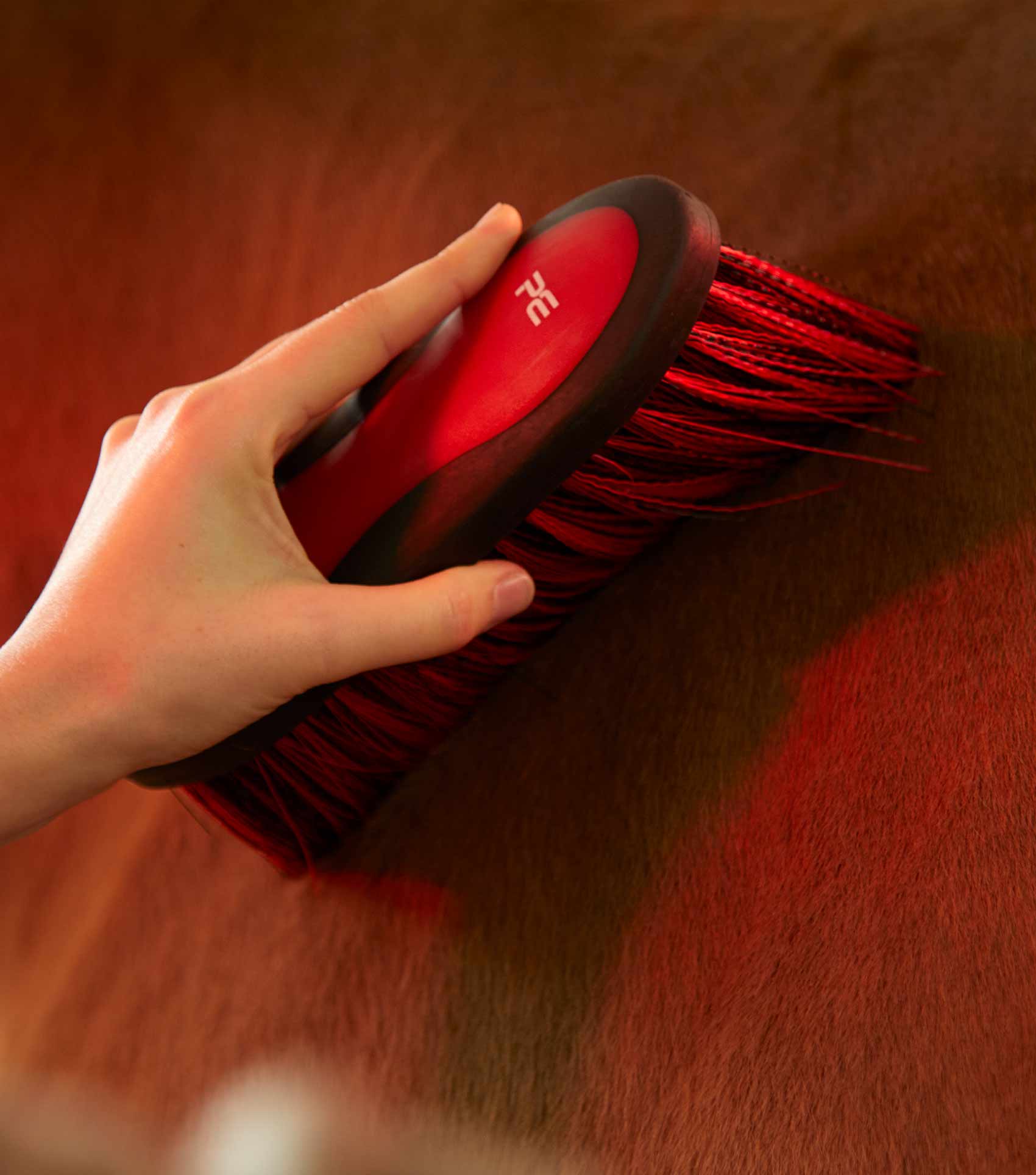 Soft-Touch Dandy Brush - Long Bristles Wine & Fuchsia - Image 2