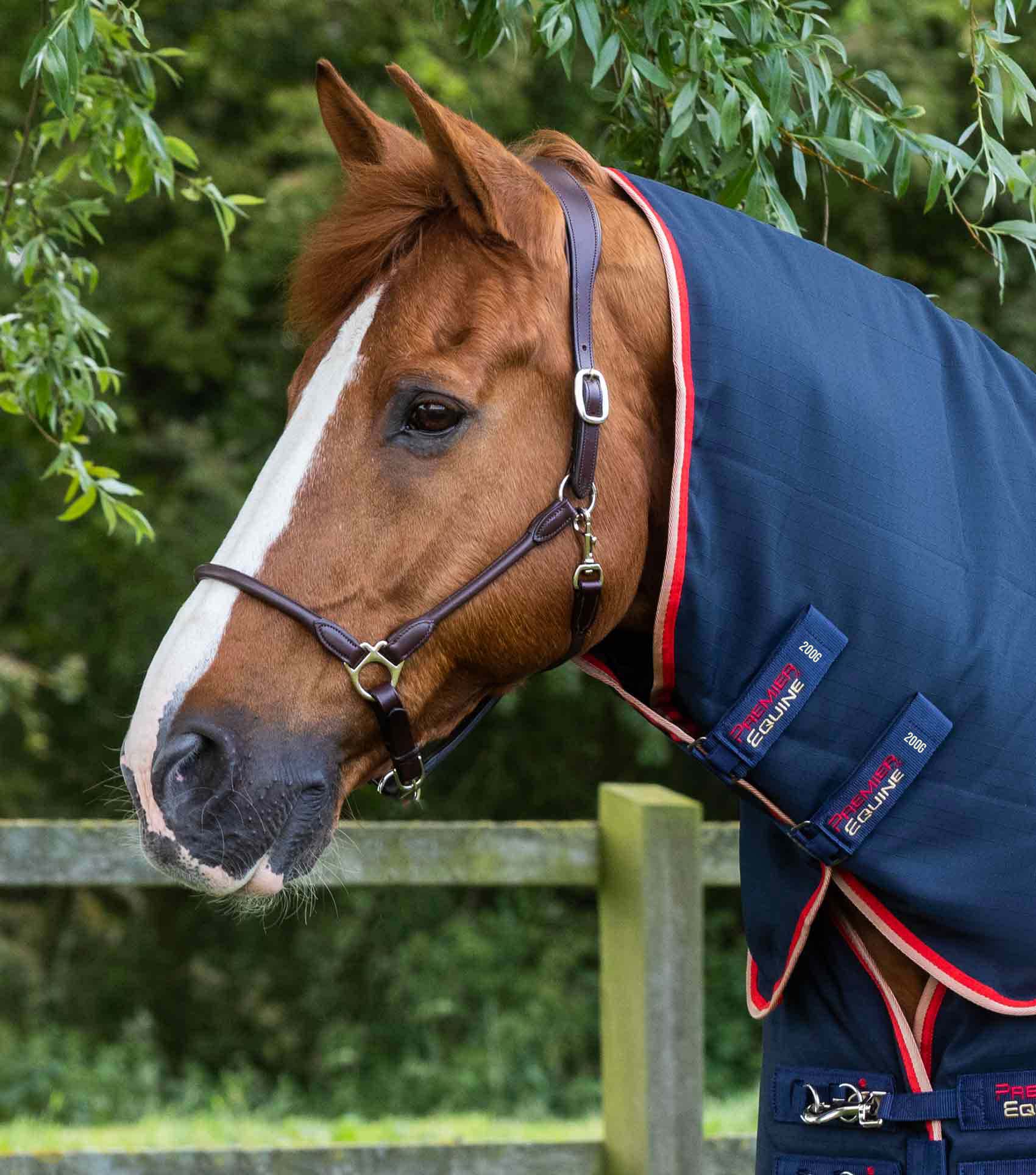 Stable Buster 200g Stable Rug with Neck Cover Navy - Image 2